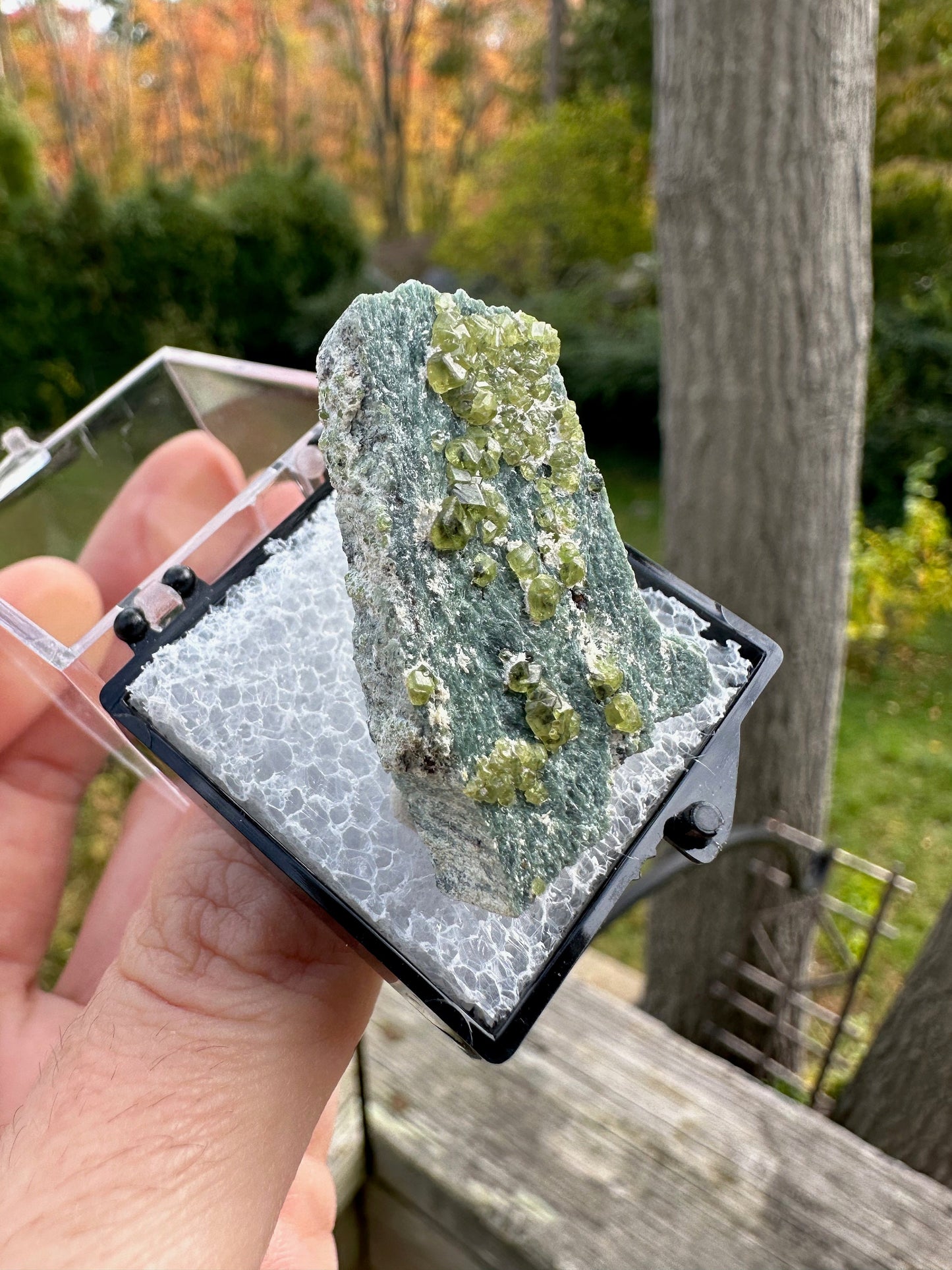 Demantoid Garnets on Matrix from Italy