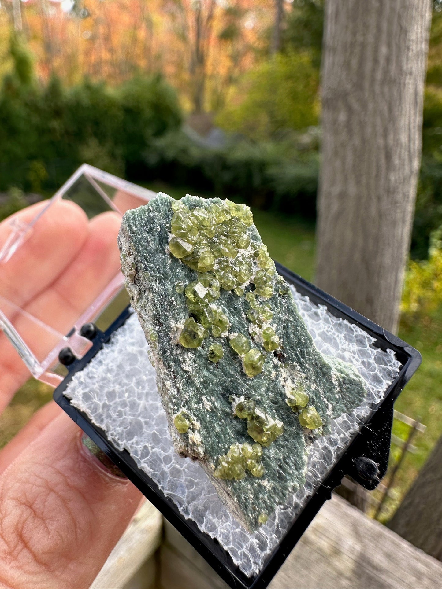 Demantoid Garnets on Matrix from Italy