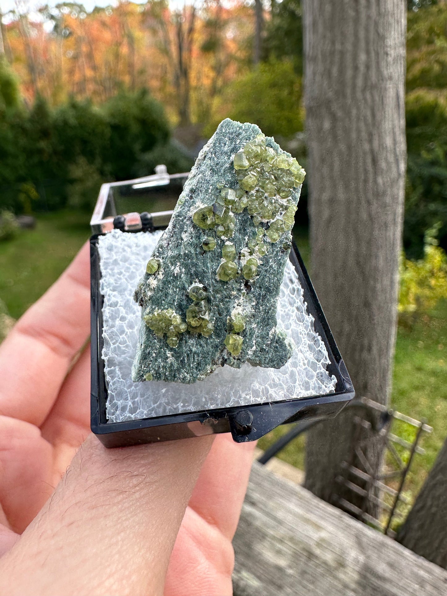 Demantoid Garnets on Matrix from Italy