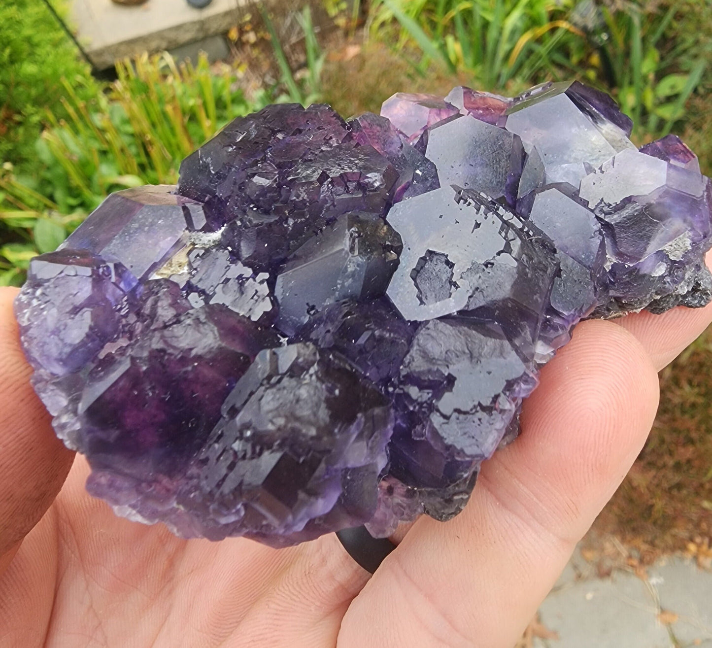 Purple Blue "Tanzanite" Fluorite from Xia Yang Mine China