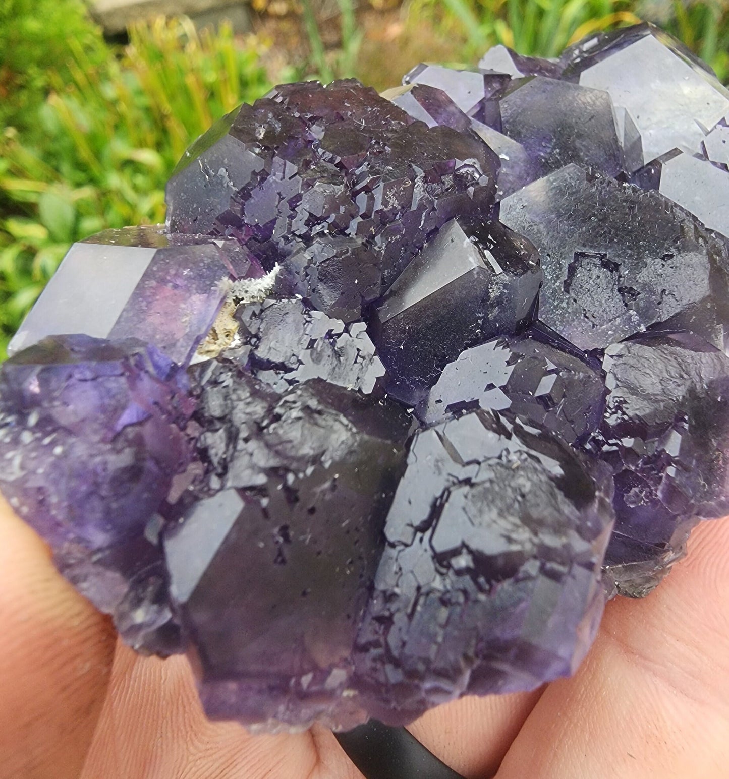 Purple Blue "Tanzanite" Fluorite from Xia Yang Mine China
