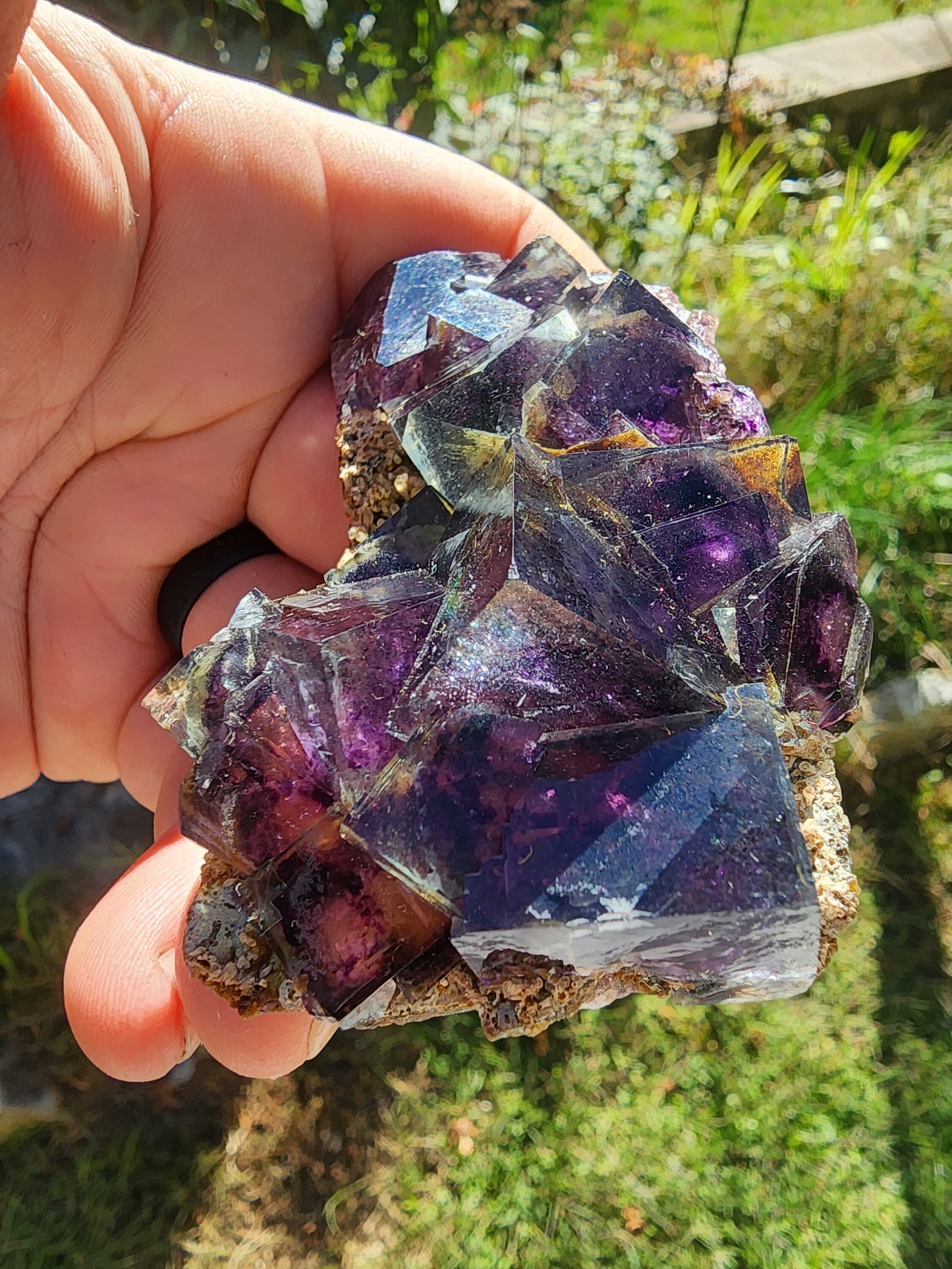 Fluorite from Yindu Mine, Inner Mongolia, China