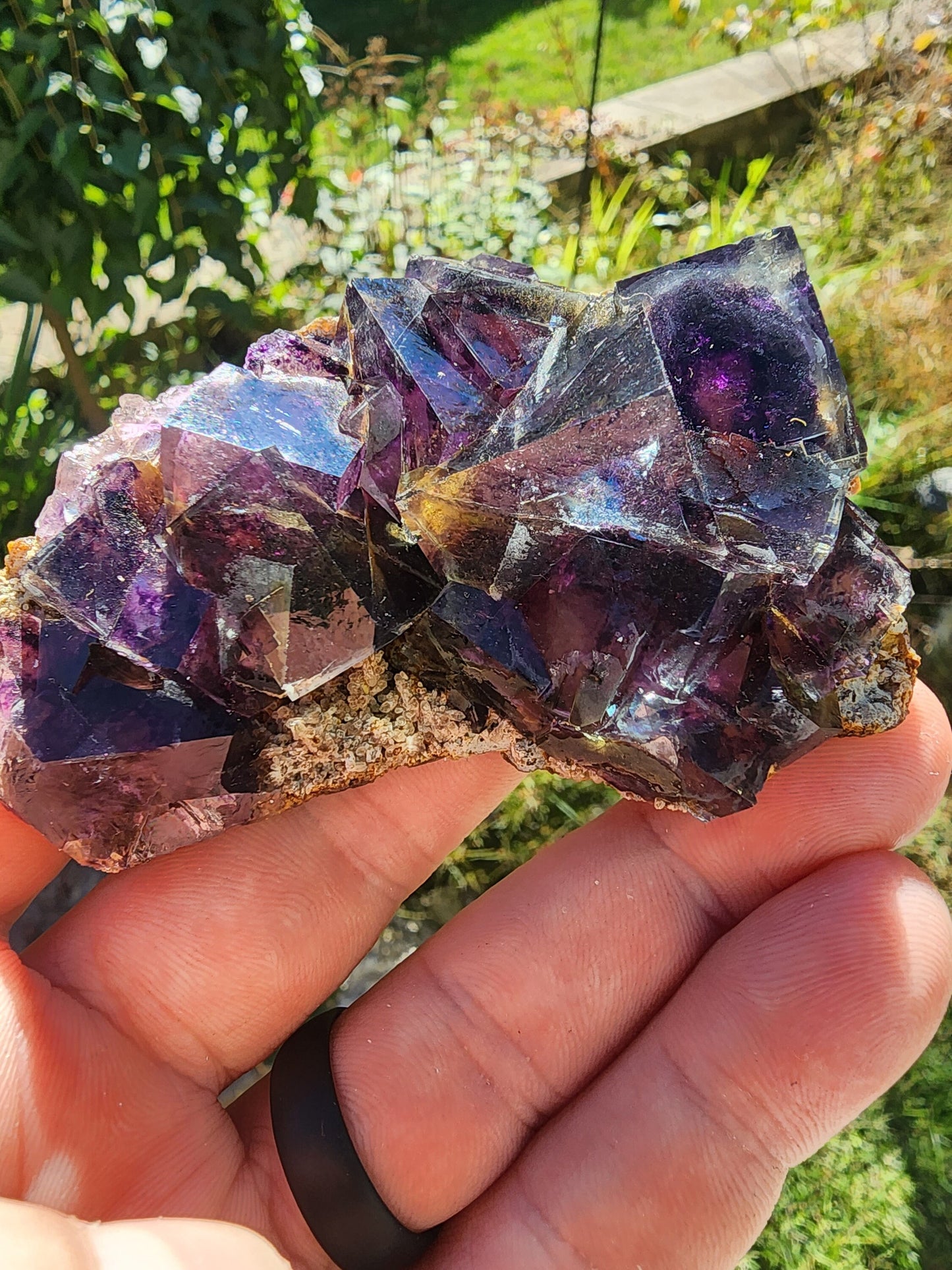 Fluorite from Yindu Mine, Inner Mongolia, China