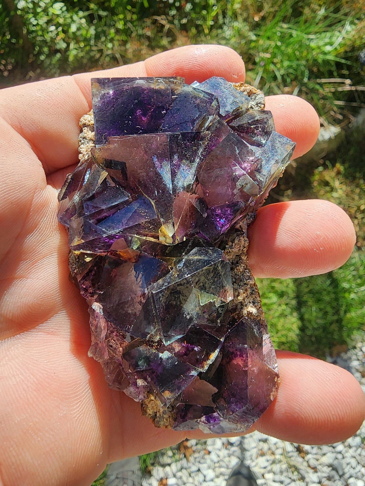 Fluorite from Yindu Mine, Inner Mongolia, China