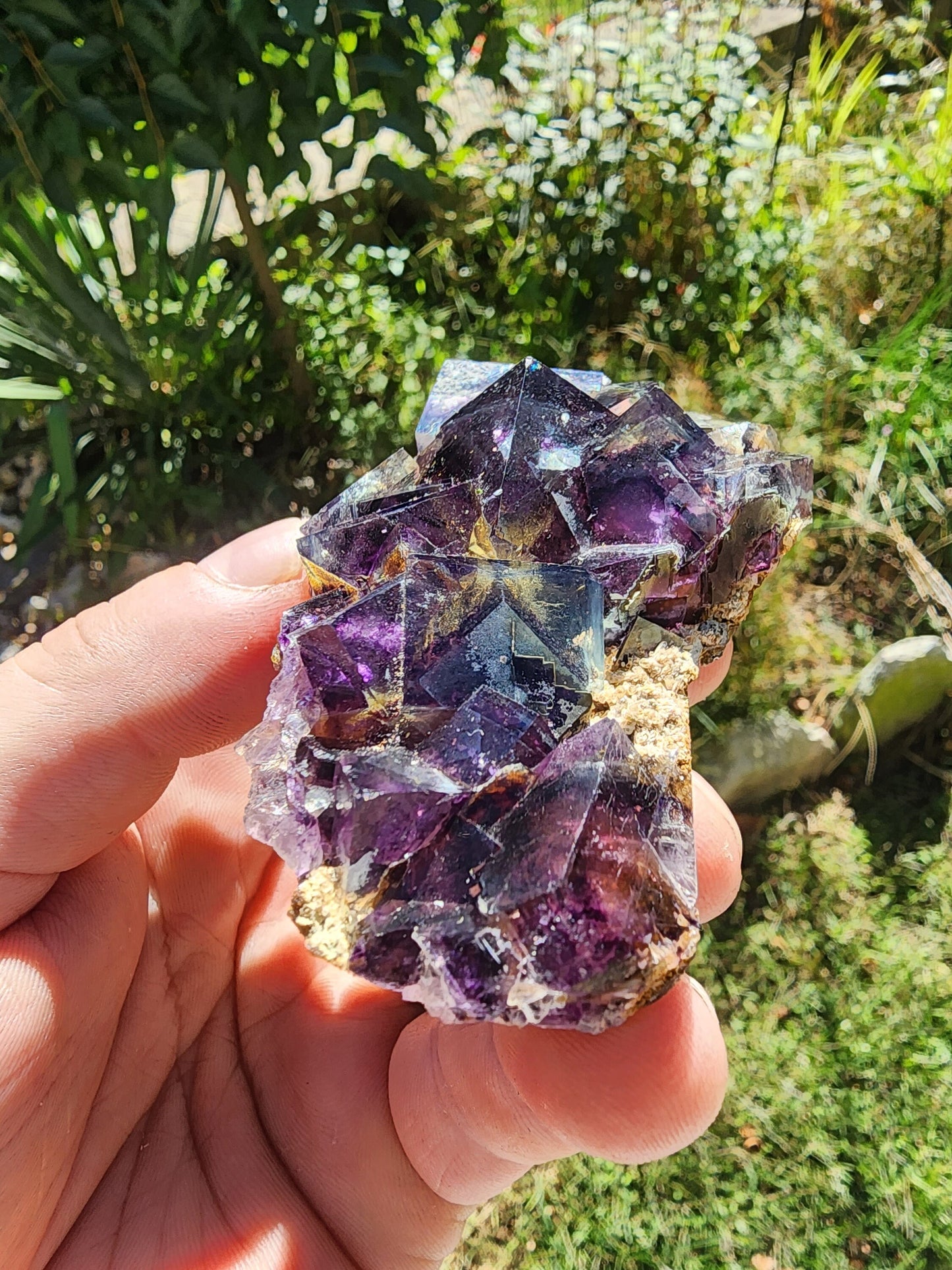 Fluorite from Yindu Mine, Inner Mongolia, China