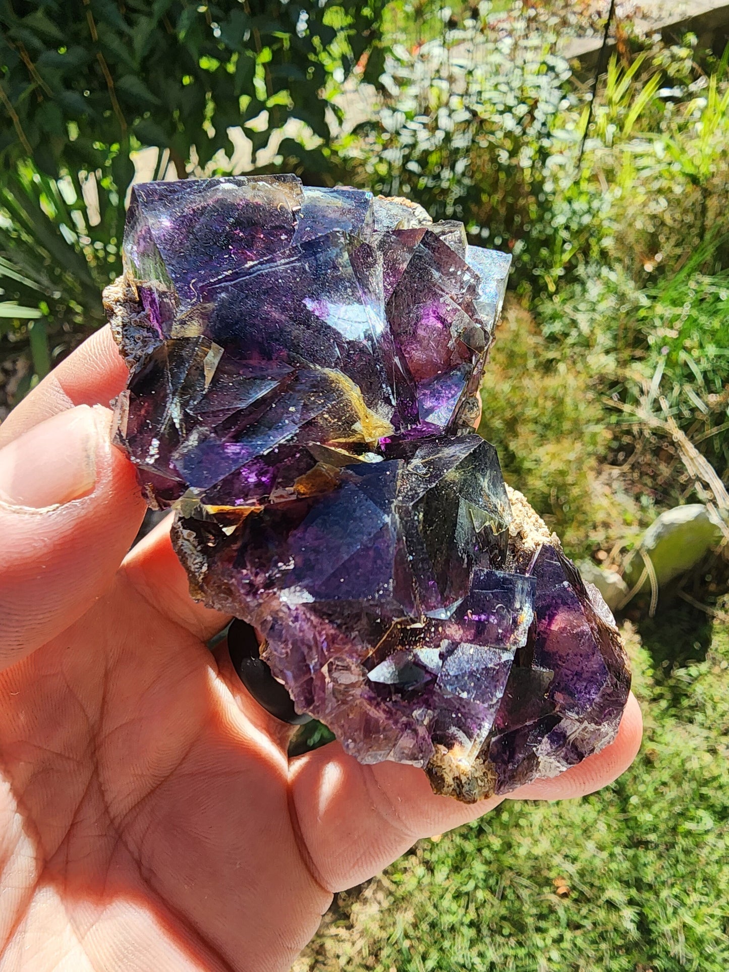 Fluorite from Yindu Mine, Inner Mongolia, China