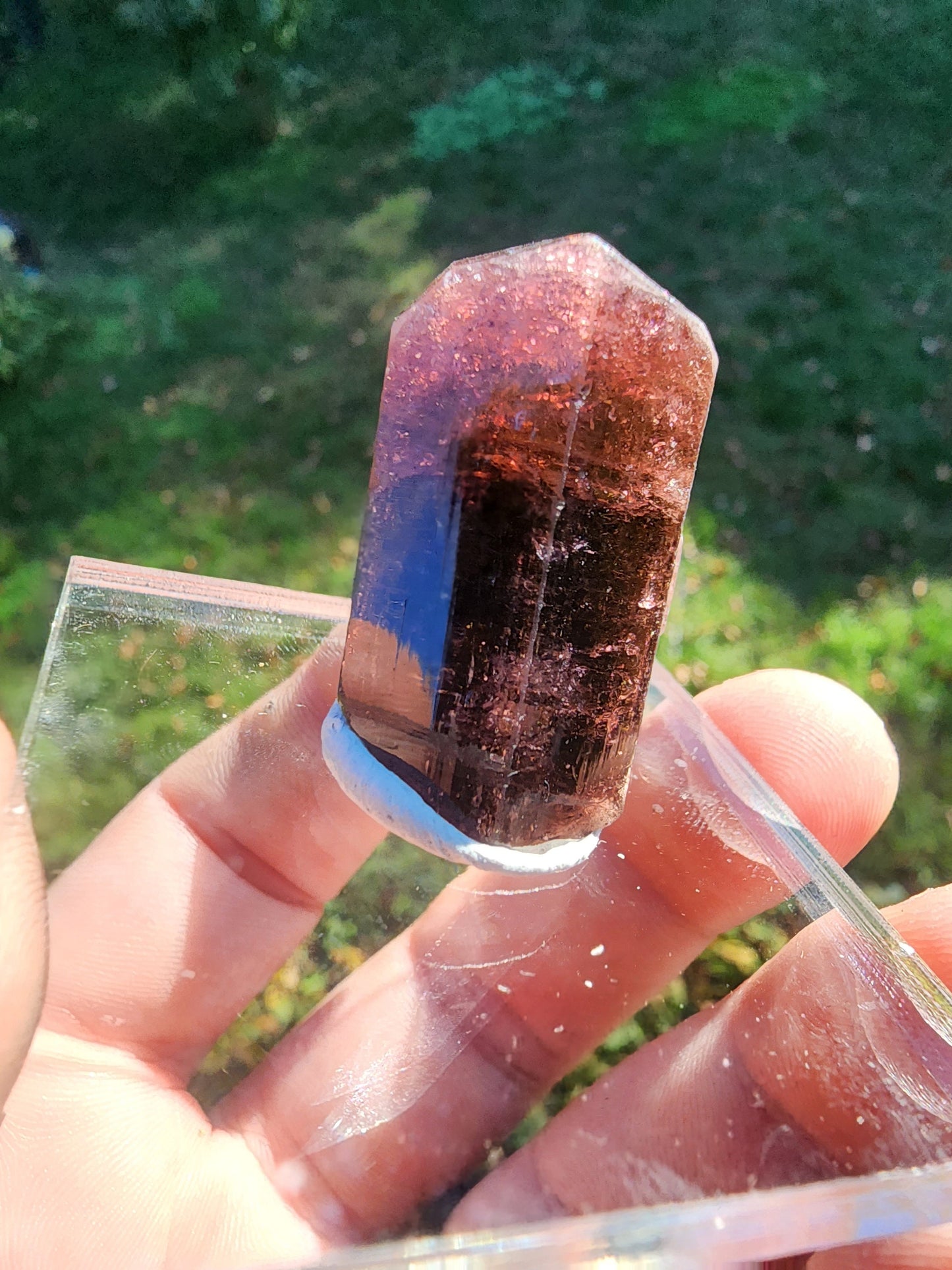Tourmaline from Minas Gerais, Brazil