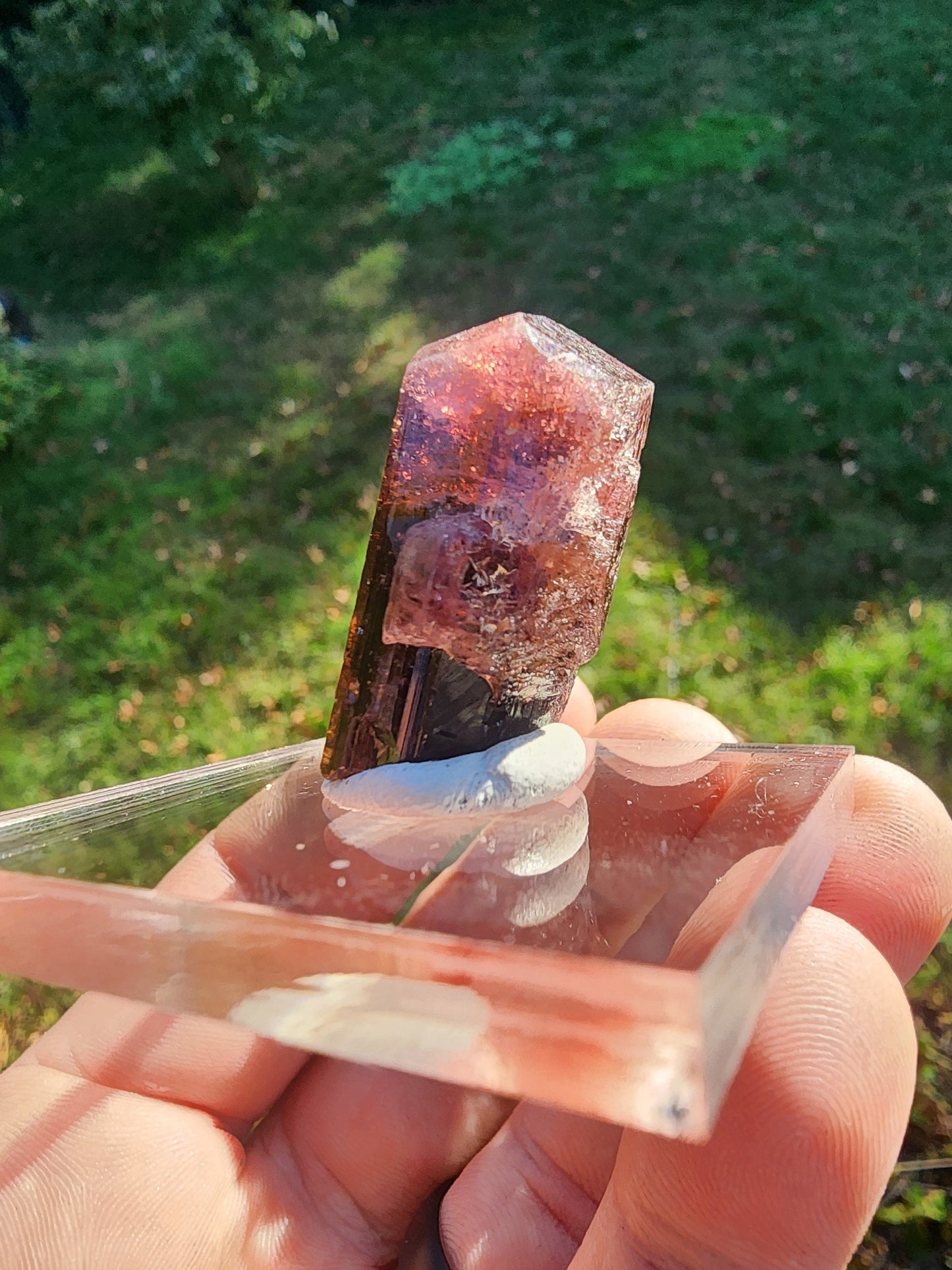 Tourmaline from Minas Gerais, Brazil