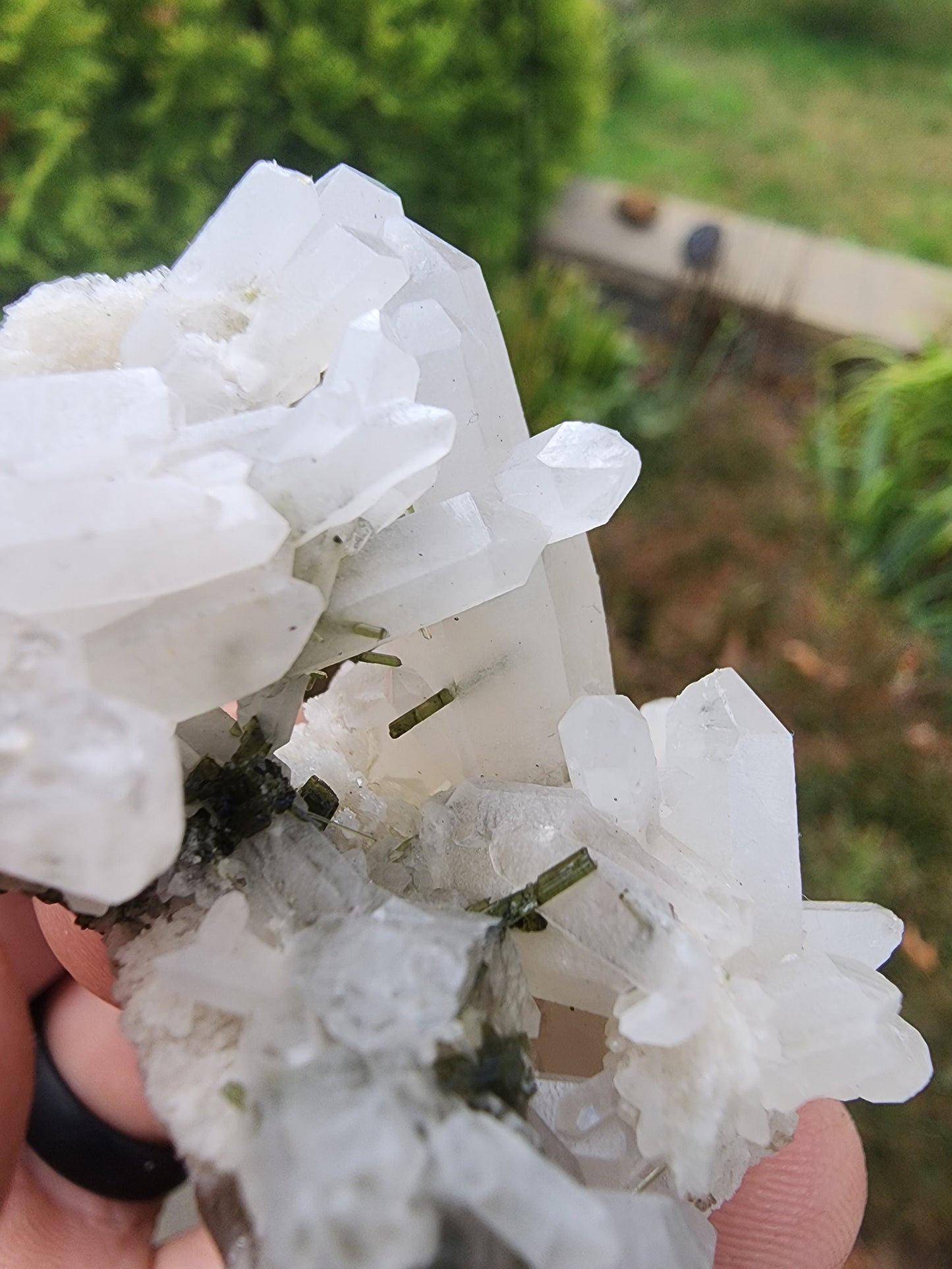 Green Tourmaline in Quartz from Minas Gerais, Brazil