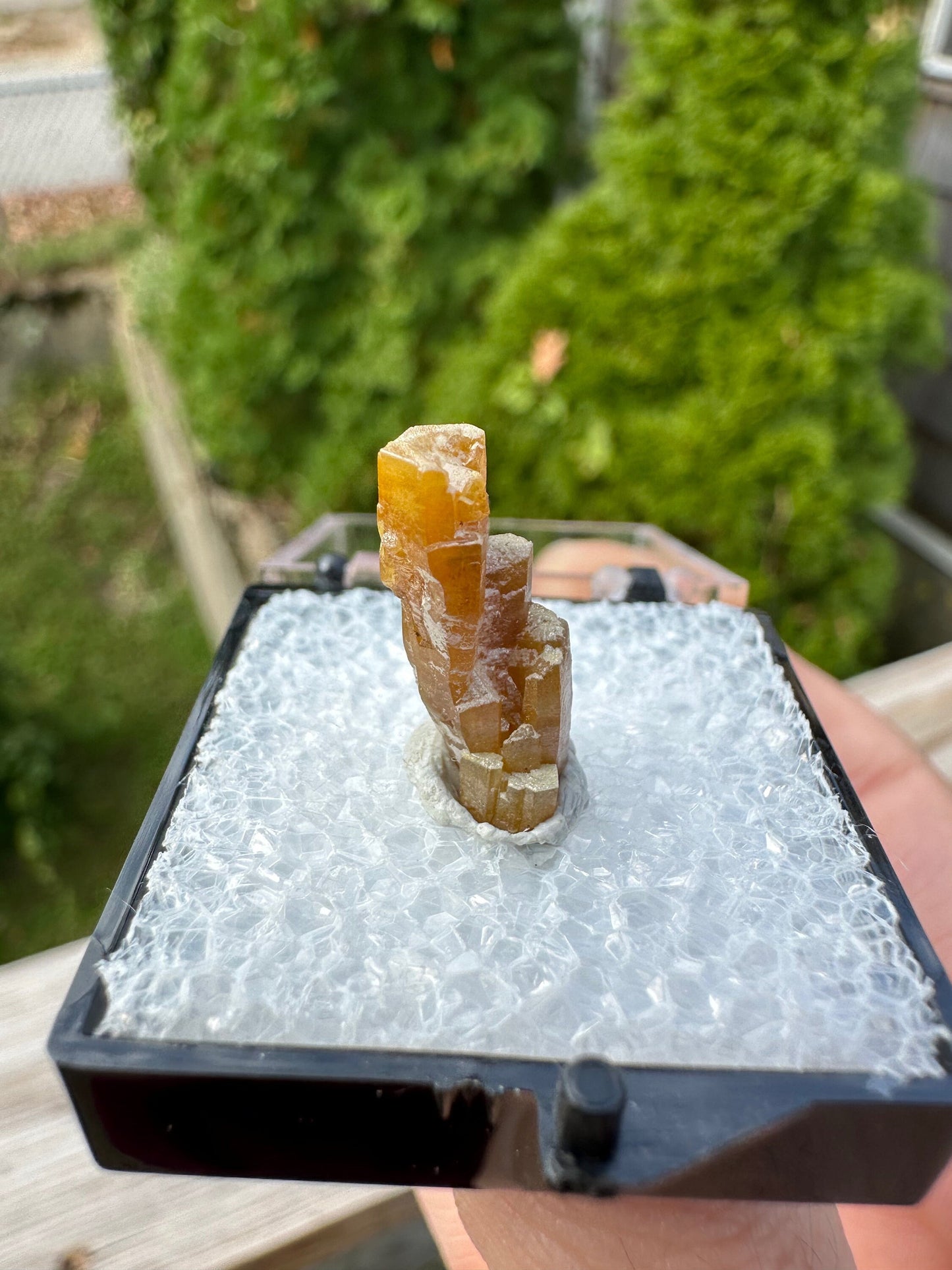 Hoppered Pyromorphite Crystal from Bunker Hill Mine Idaho USA