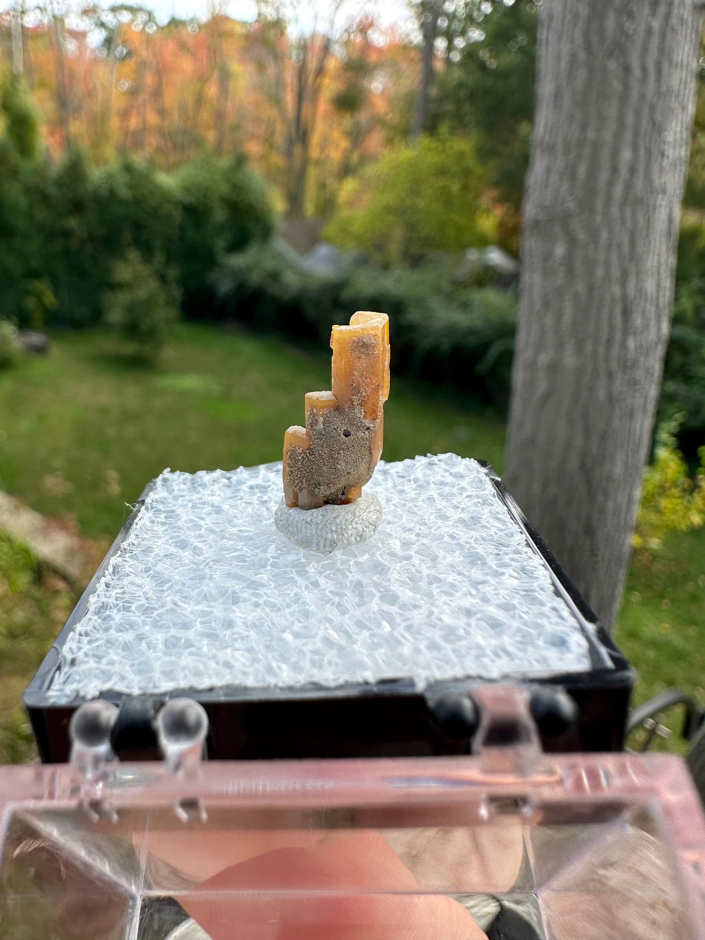 Hoppered Pyromorphite Crystal from Bunker Hill Mine Idaho USA