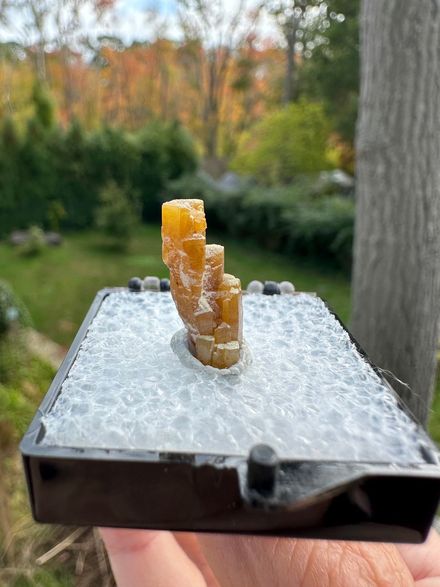 Hoppered Pyromorphite Crystal from Bunker Hill Mine Idaho USA