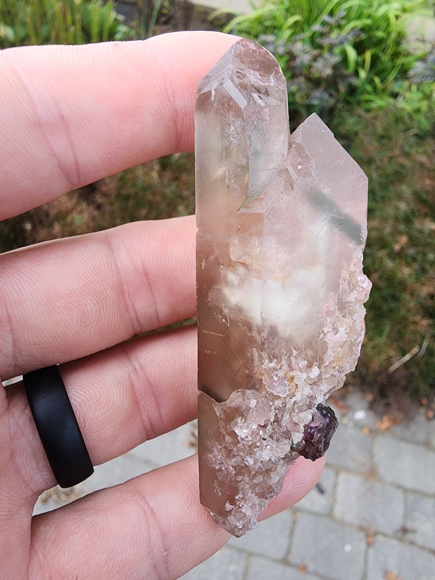 Watermelon Tourmaline in Quartz from Minas Gerais, Brazil