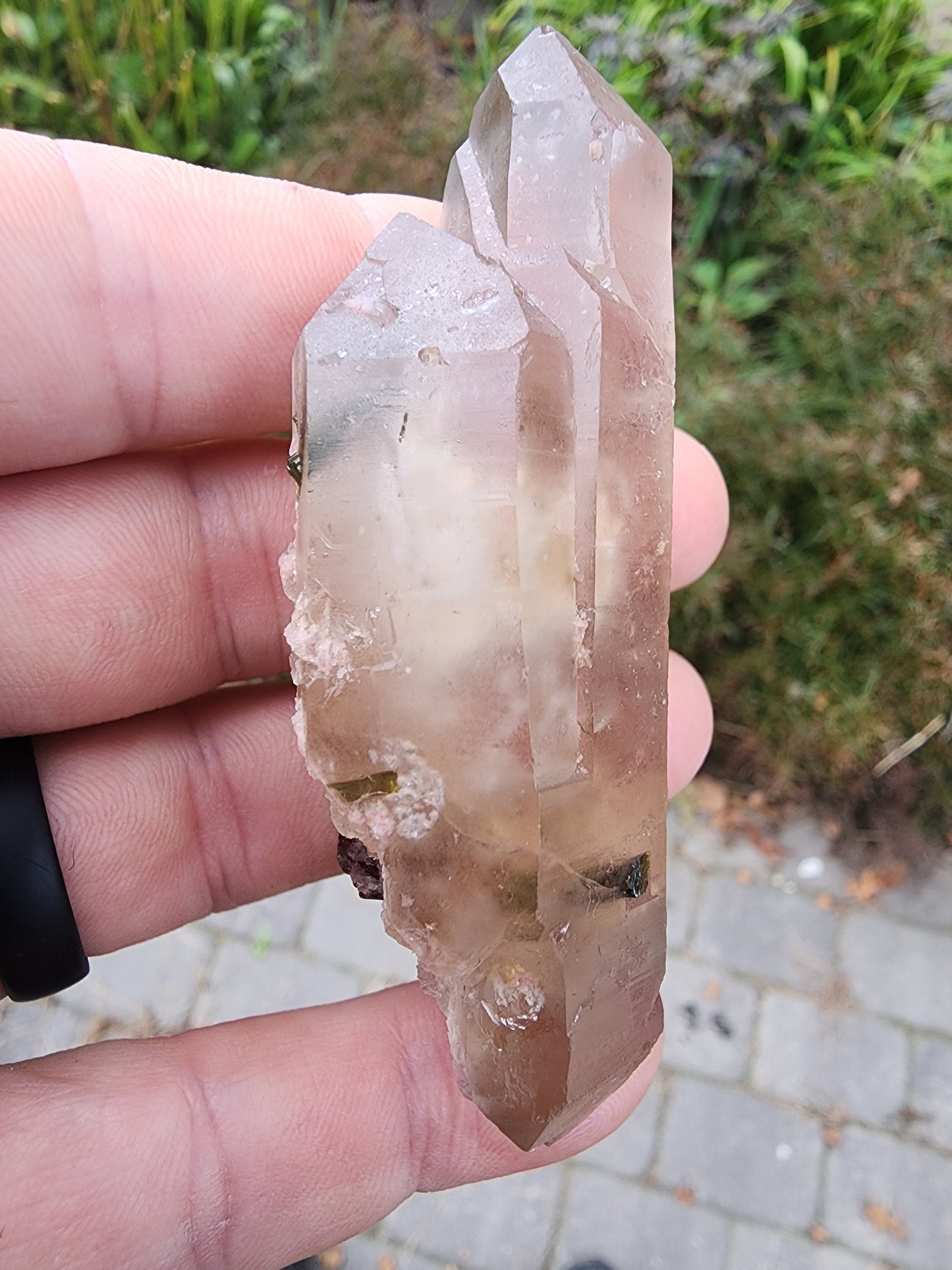 Watermelon Tourmaline in Quartz from Minas Gerais, Brazil