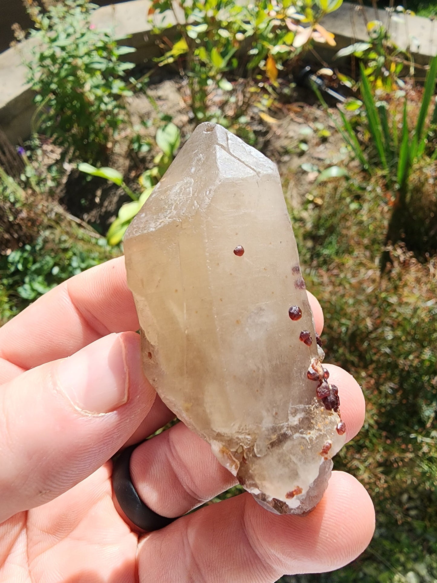Red Spessartine Garnets on and in Smoky Quartz Point from China