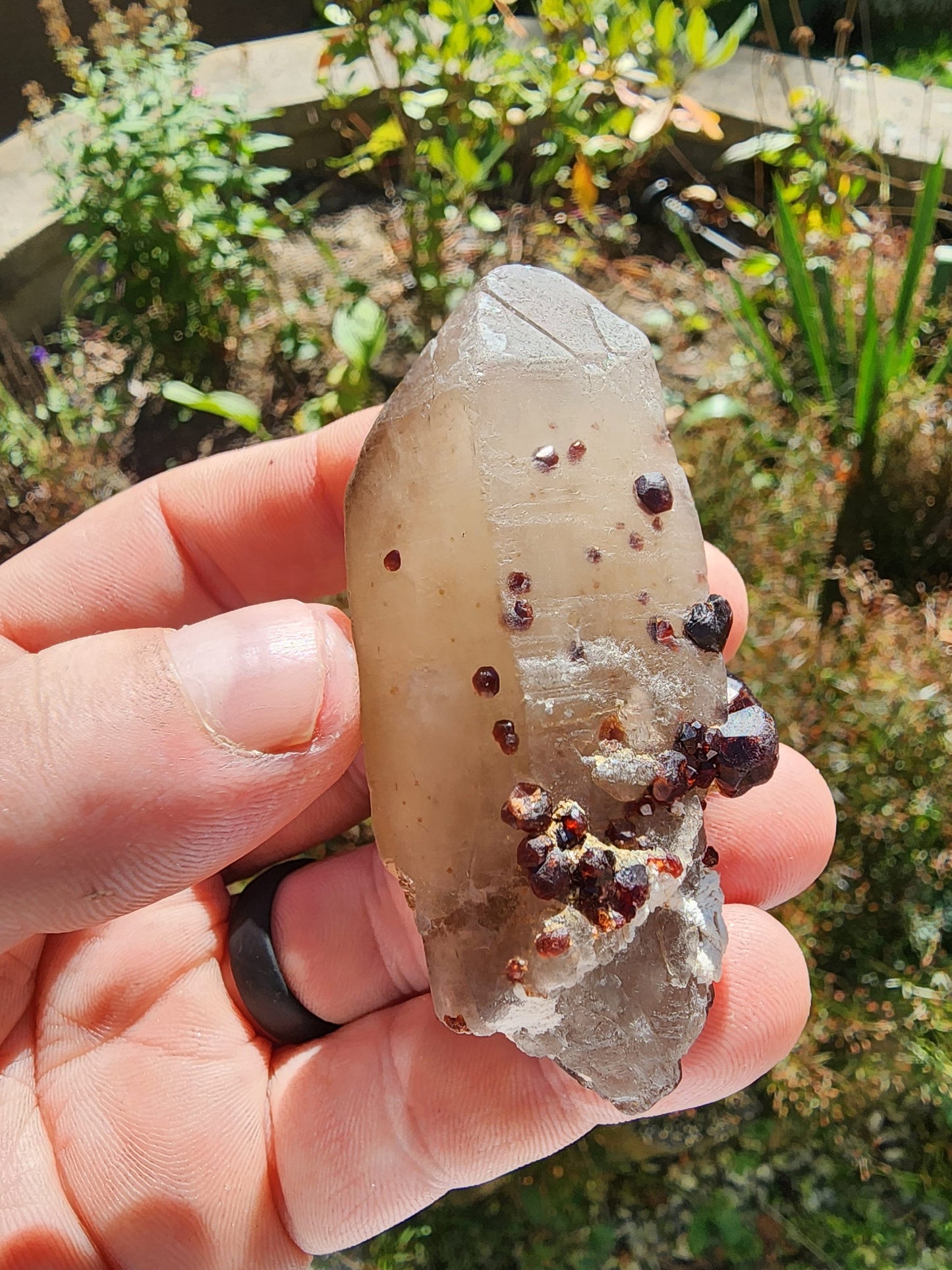 Red Spessartine Garnets on and in Smoky Quartz Point from China