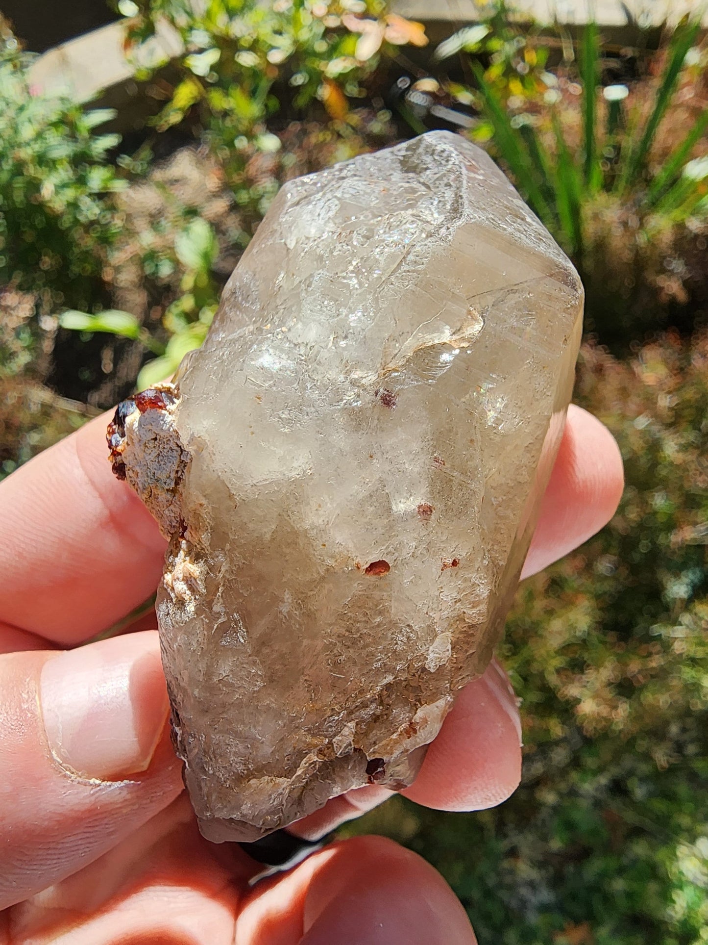 Red Spessartine Garnets on and in Smoky Quartz Point from China
