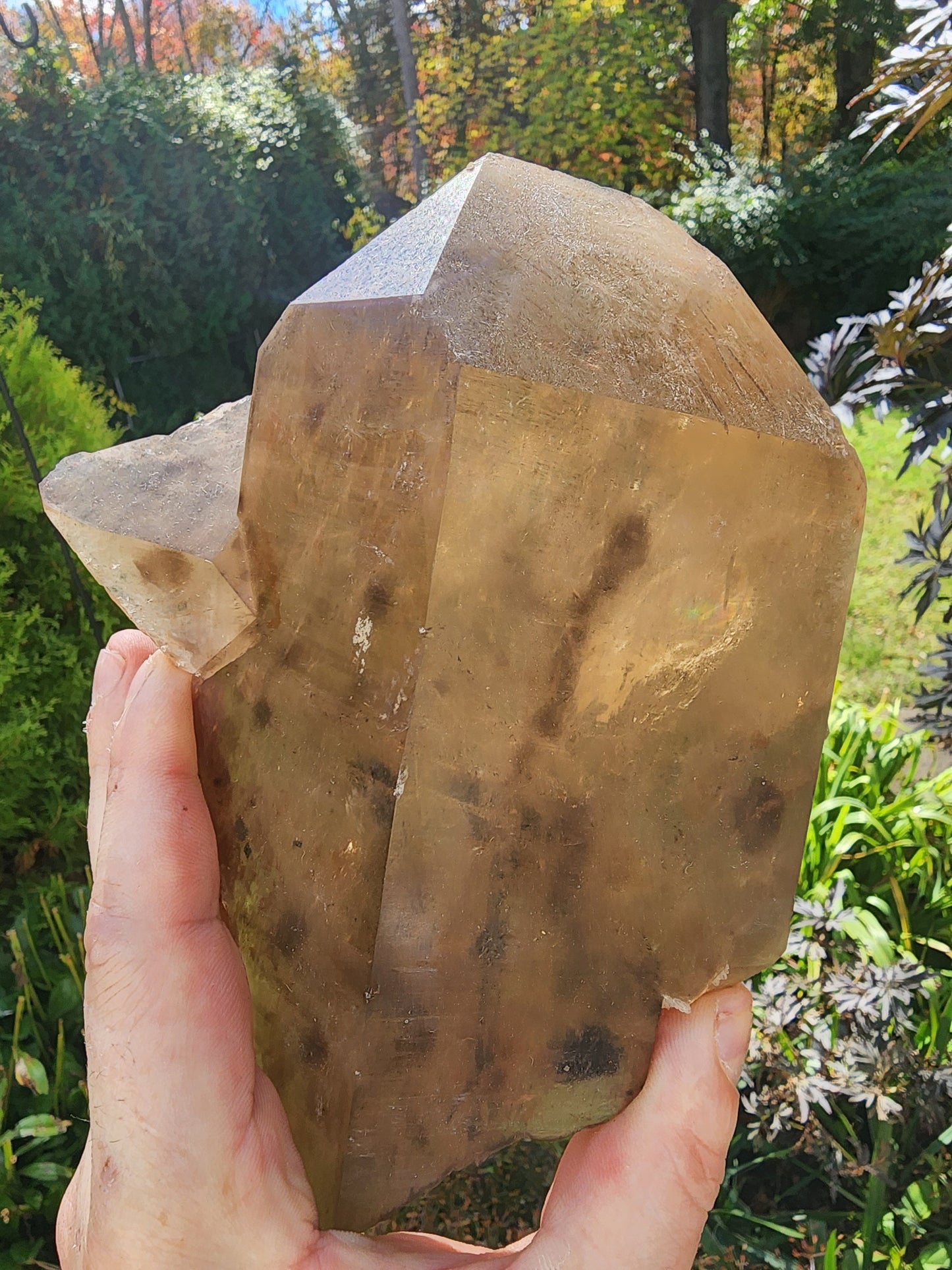Citrine with Indicolite inclusions from Minas Gerais, Brazil
