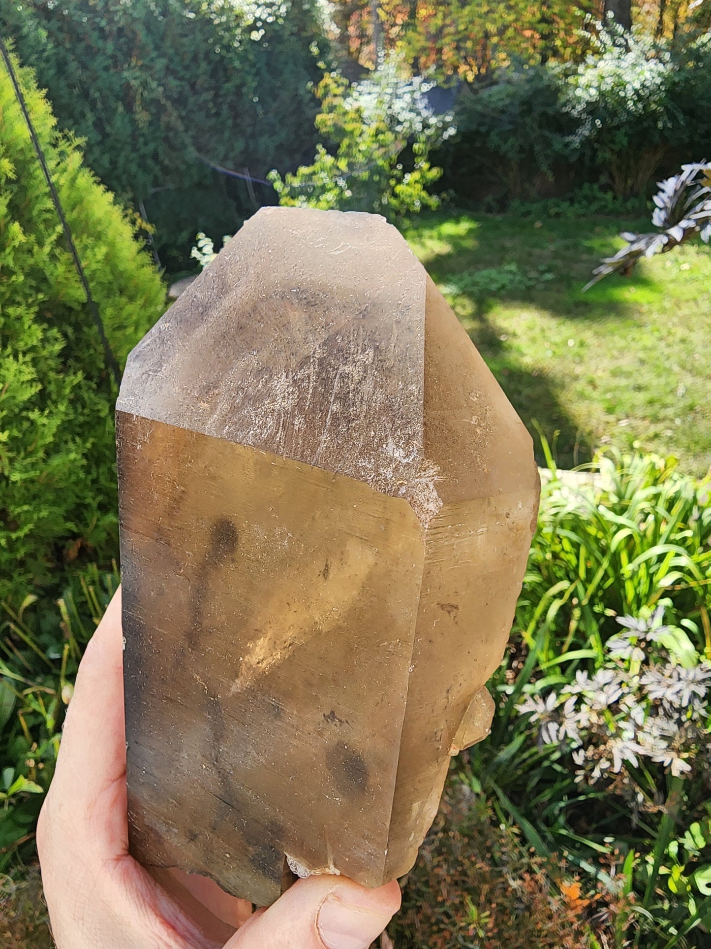 Citrine with Indicolite inclusions from Minas Gerais, Brazil