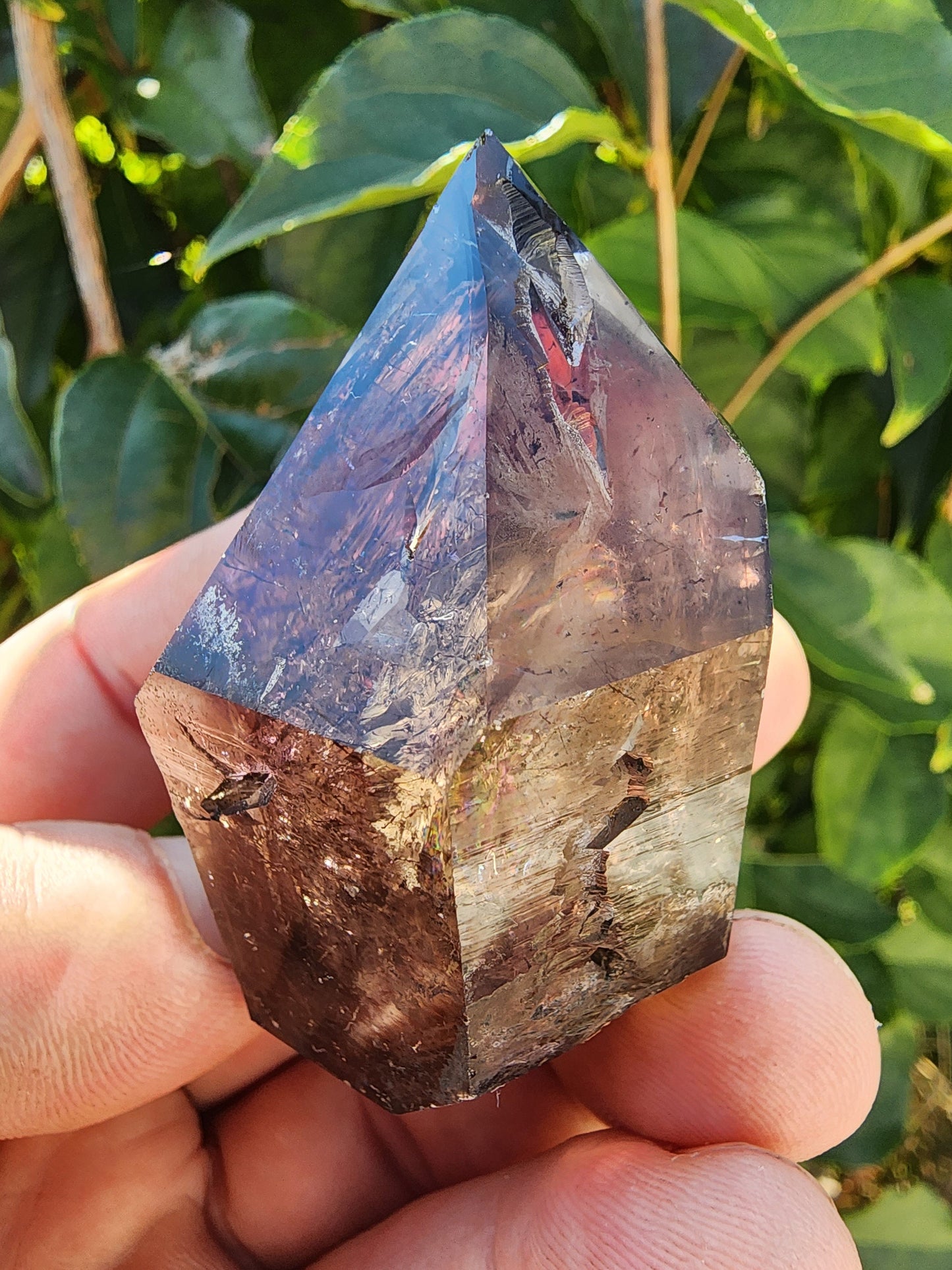 Enhydro Amethyst Smoky Quartz Scepter with Hematite from Zambia Africa
