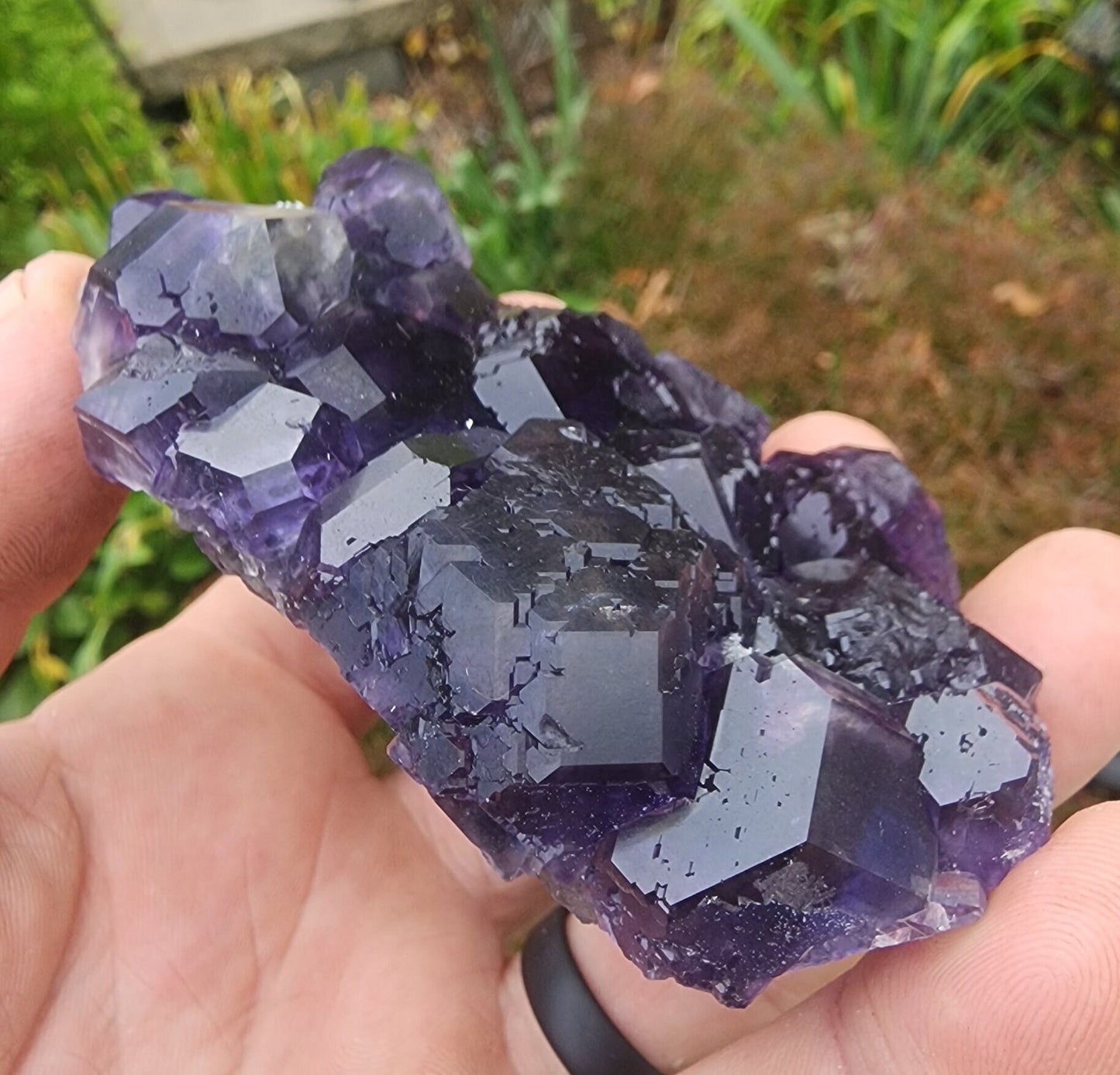 Purple Blue "Tanzanite" Fluorite from Xia Yang Mine China