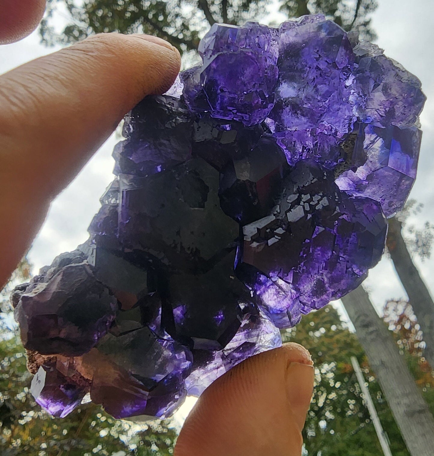 Purple Blue "Tanzanite" Fluorite from Xia Yang Mine China