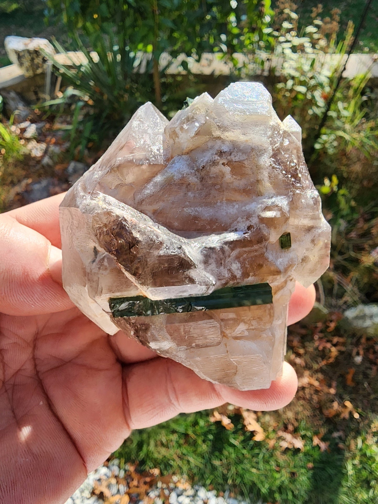 Gemmy Tourmaline in Terminated Smoky Quartz from Minas Gerais, Brazil