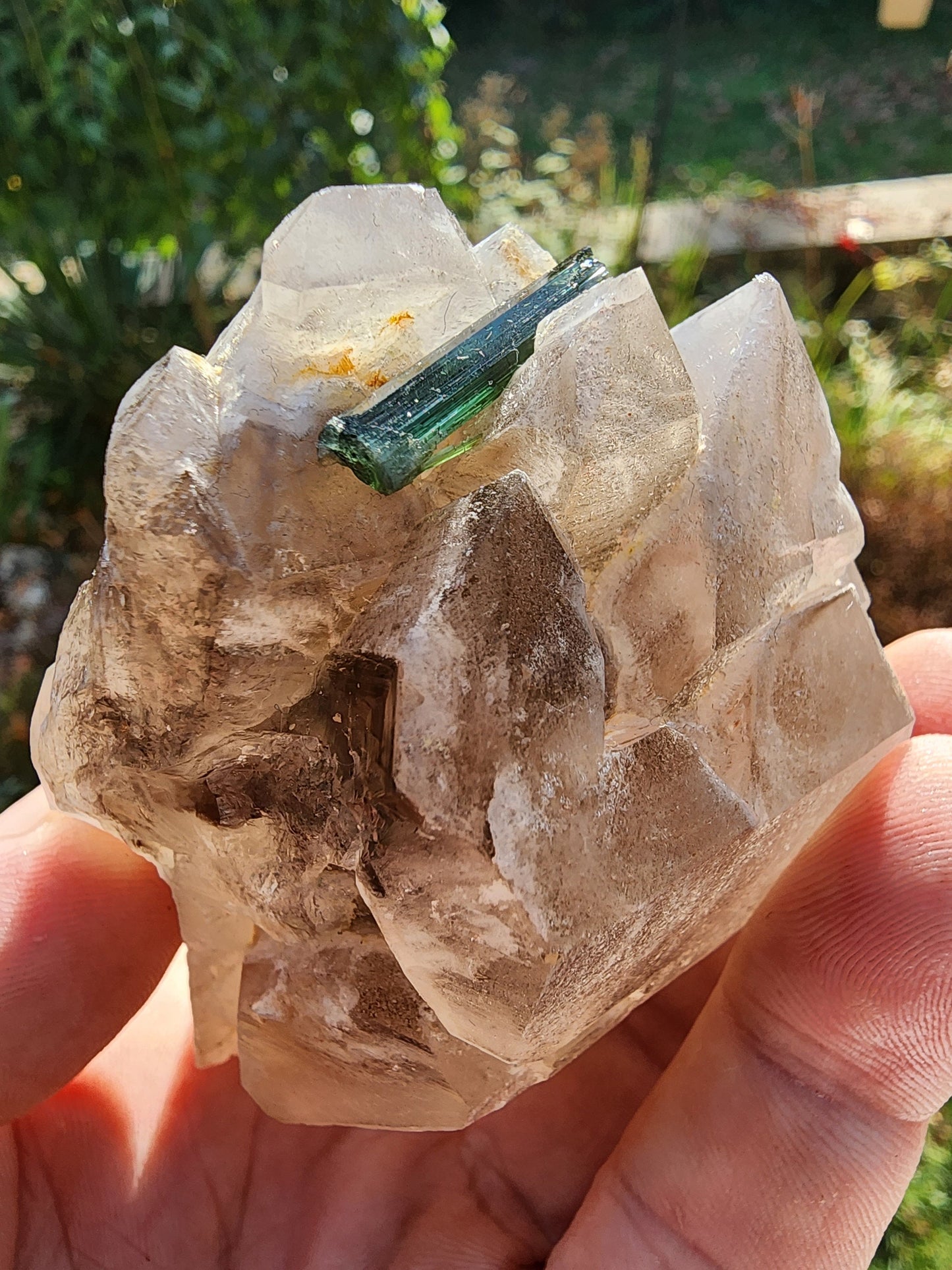 Gemmy Tourmaline in Terminated Smoky Quartz from Minas Gerais, Brazil