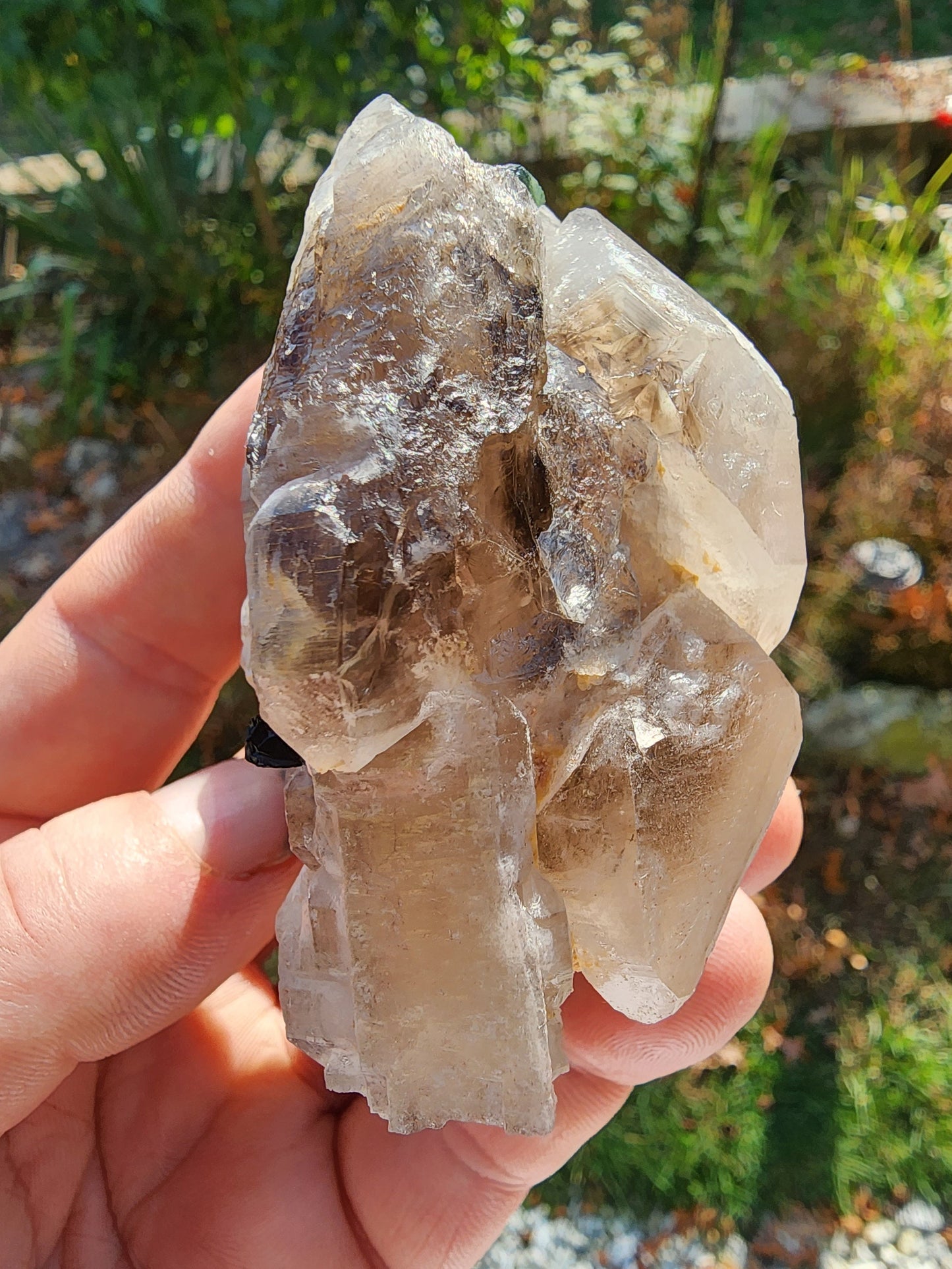 Gemmy Tourmaline in Terminated Smoky Quartz from Minas Gerais, Brazil