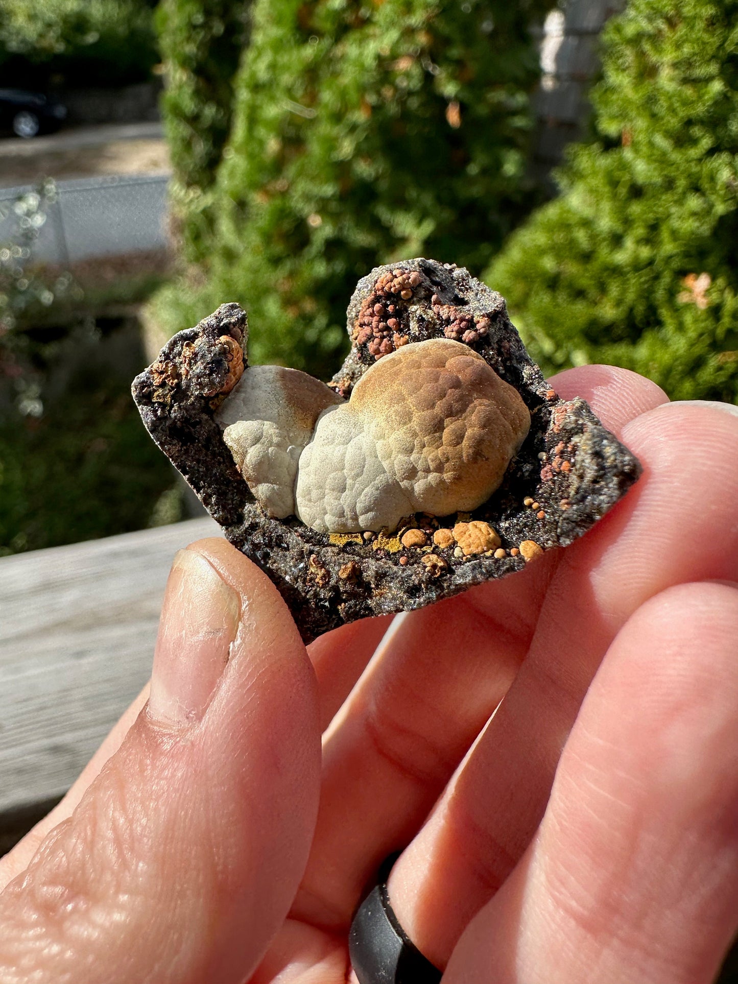 Botryoidal Calcite Crystals on Matrix from China