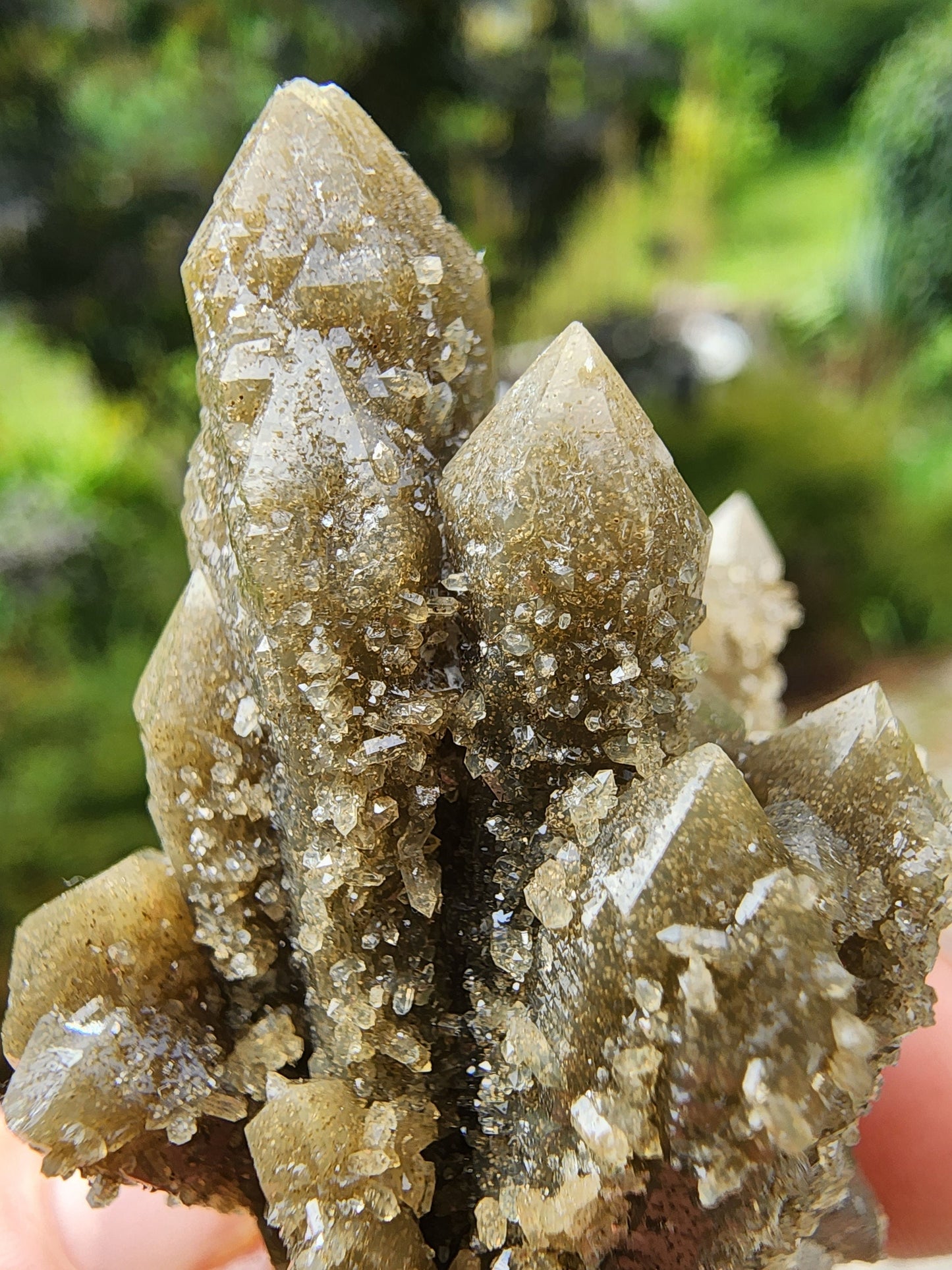Hedenbergite in Quartz Cluster from Inner Mongolia