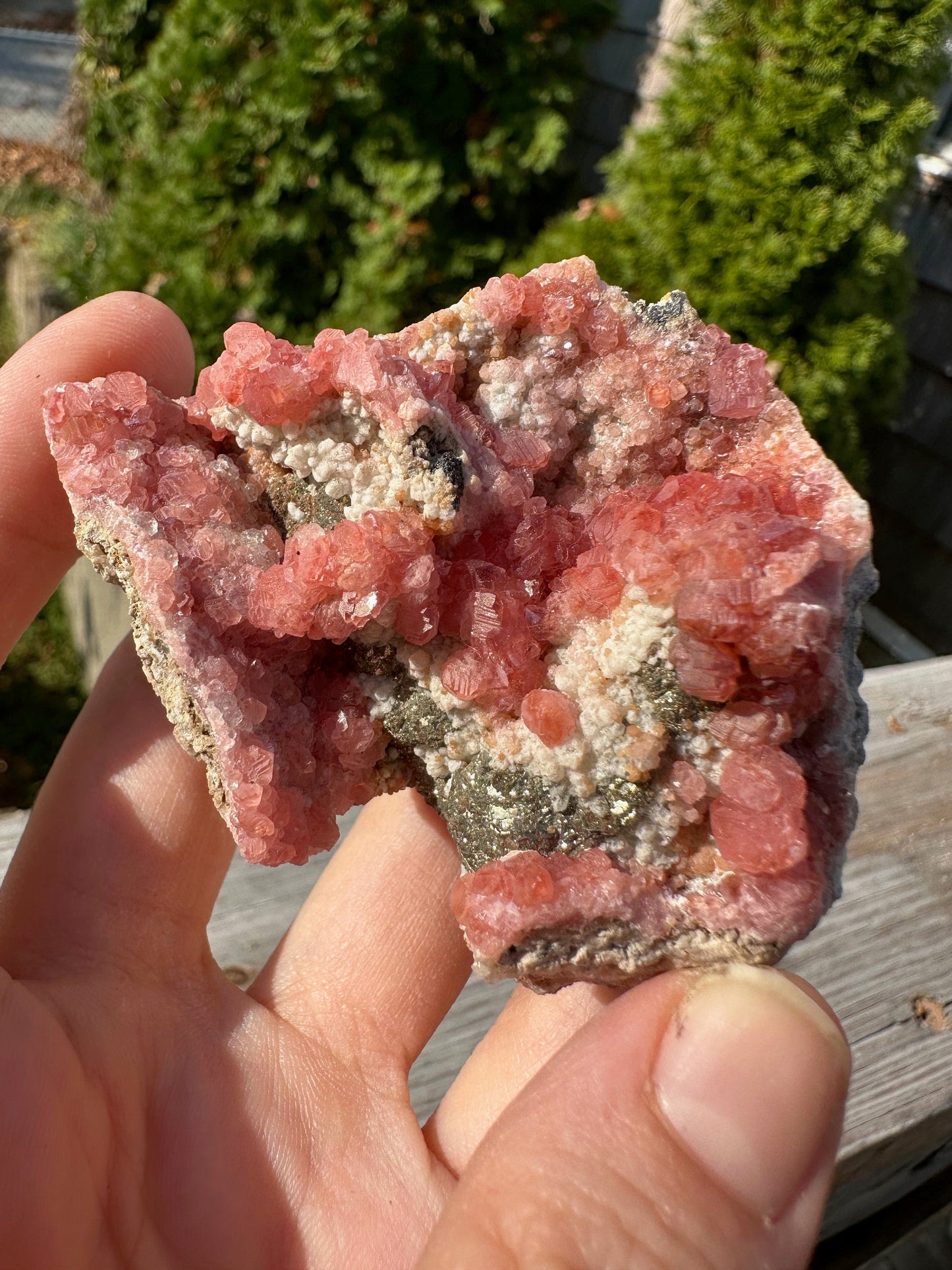 Rhodochrosite Crystals on Matrix from Uchucchacua Mine Peru