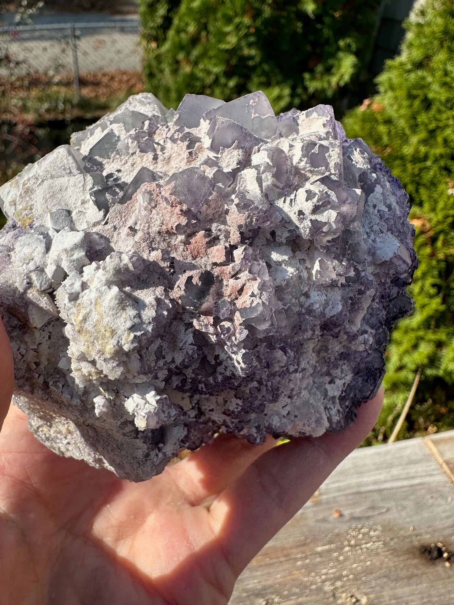 Large Cabinet Green and Purple Edge Fluorite from China