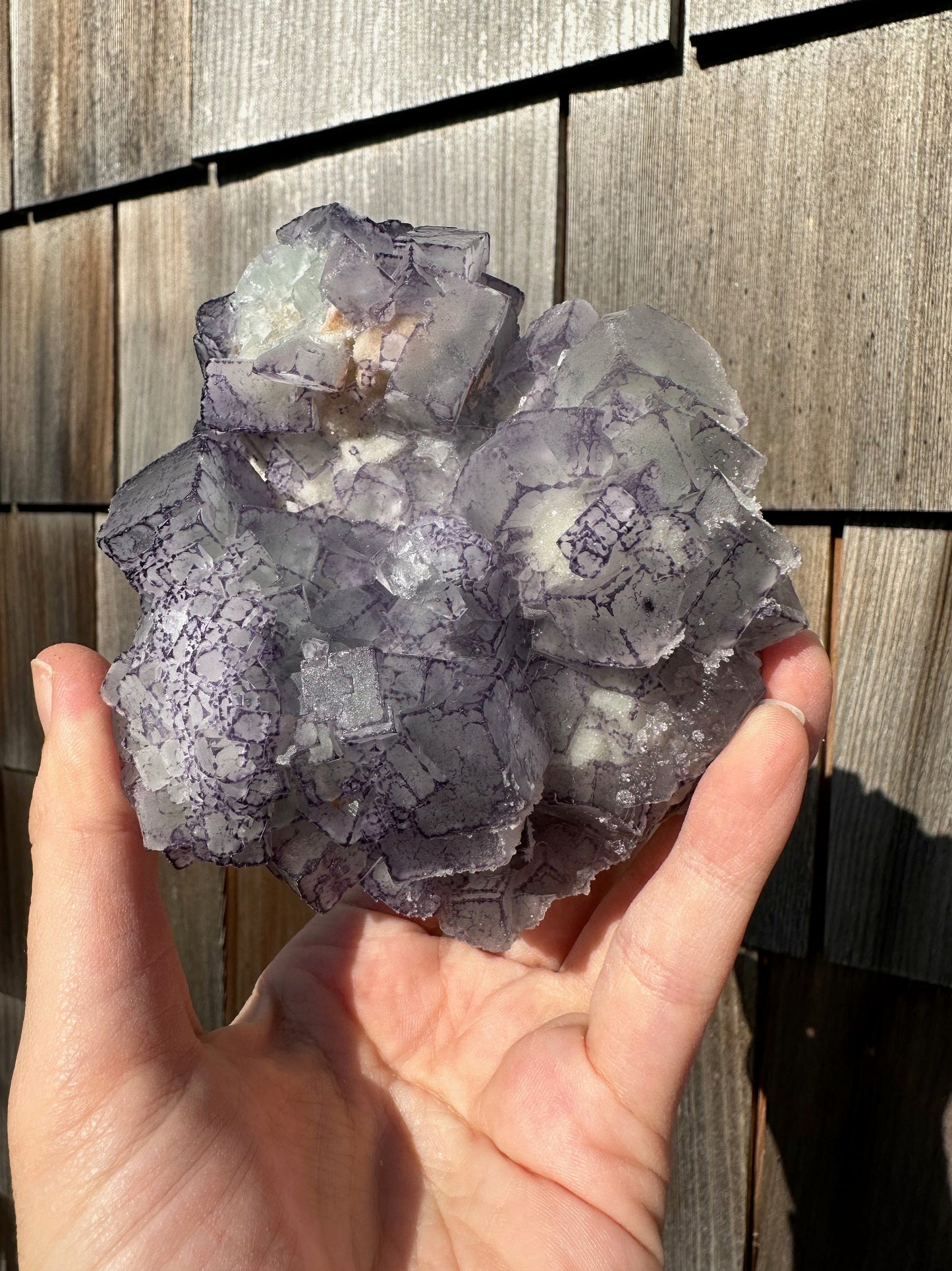 Large Cabinet Green and Purple Edge Fluorite from China