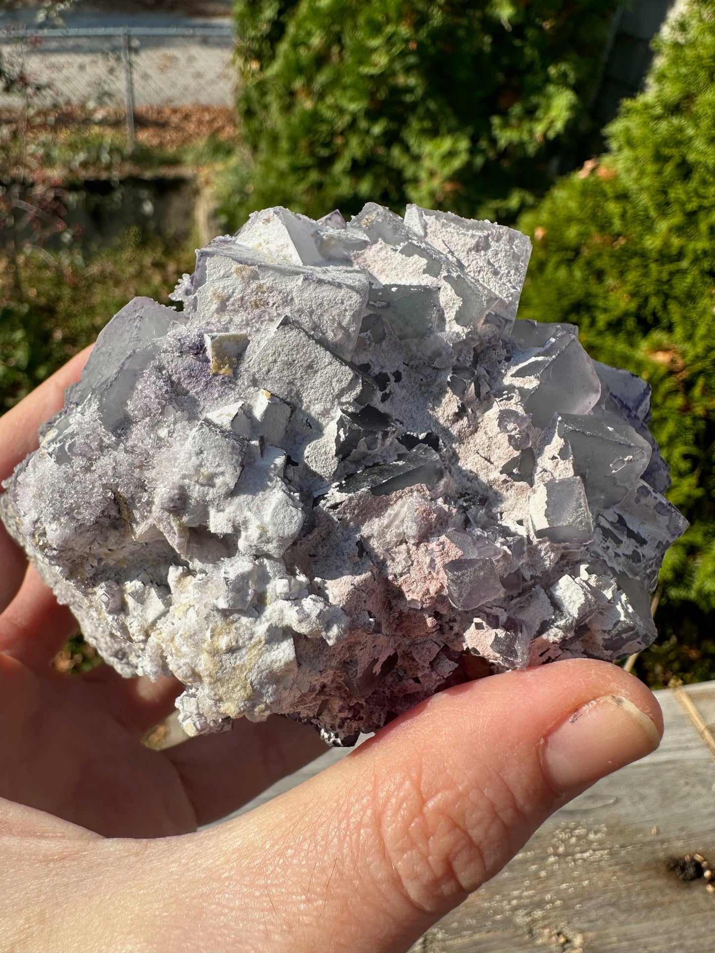 Large Cabinet Green and Purple Edge Fluorite from China