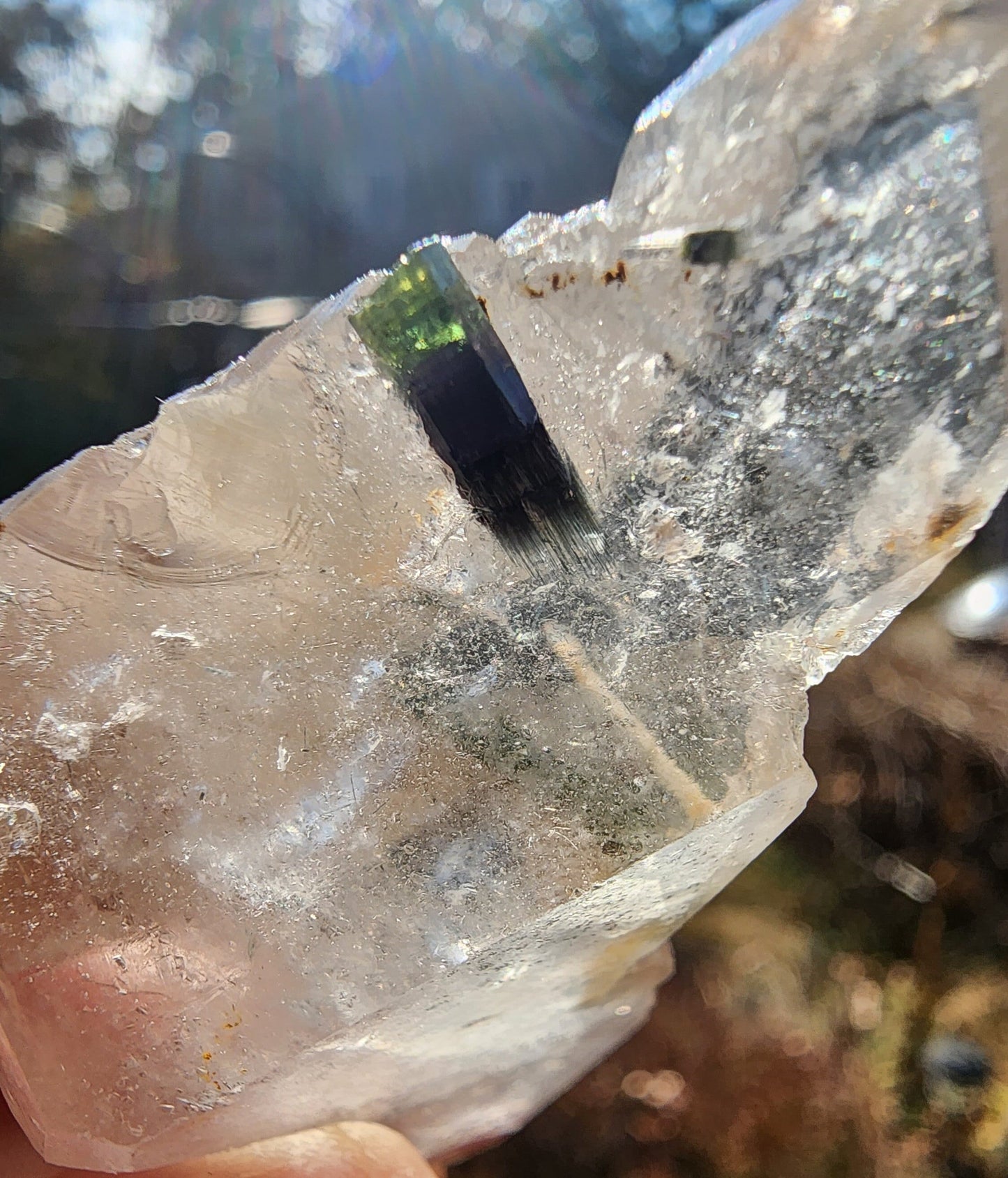 Green Tourmaline in Tabular Quartz from Minas Gerais, Brazil