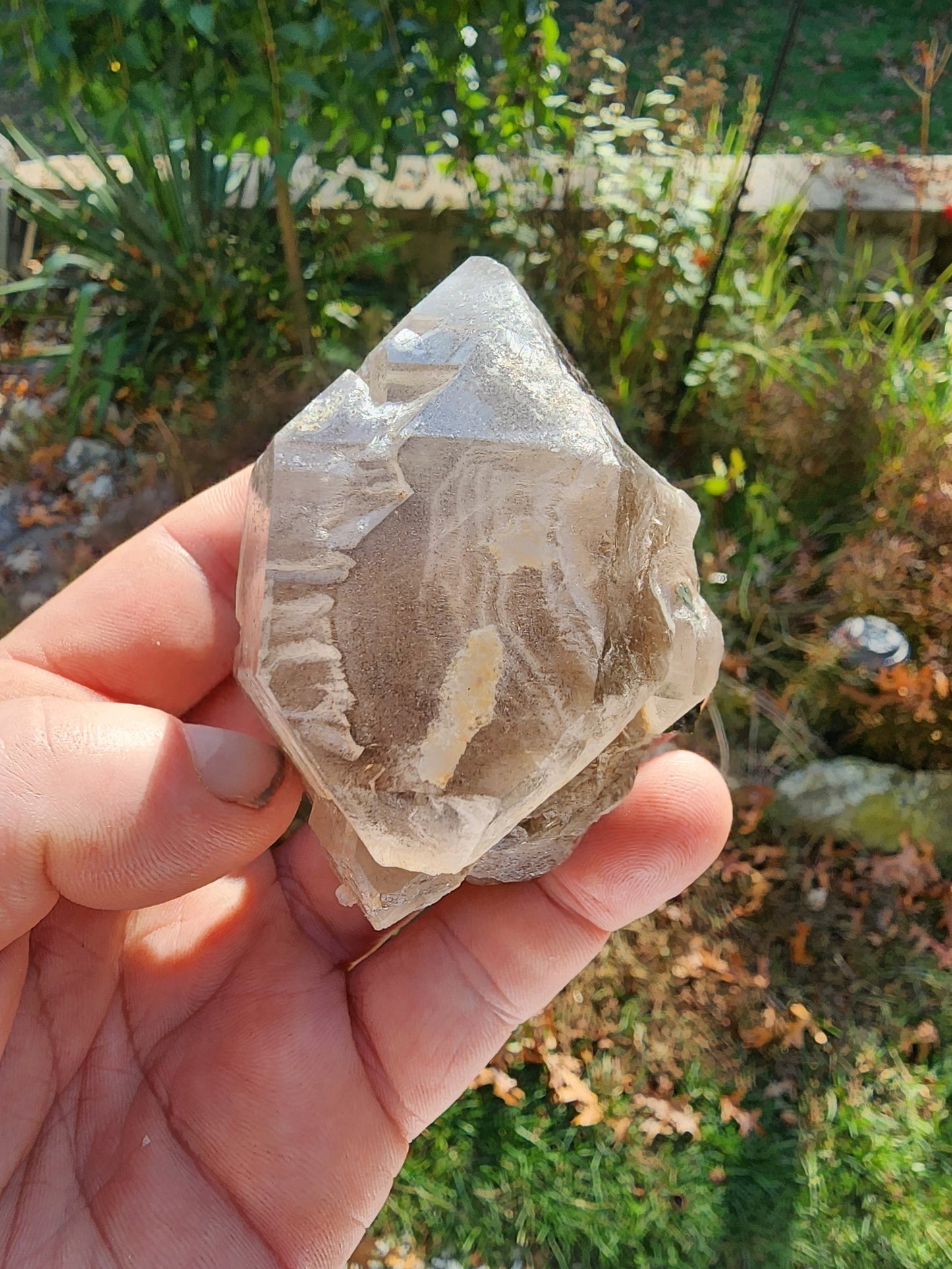Gemmy Tourmaline in Terminated Smoky Quartz from Minas Gerais, Brazil
