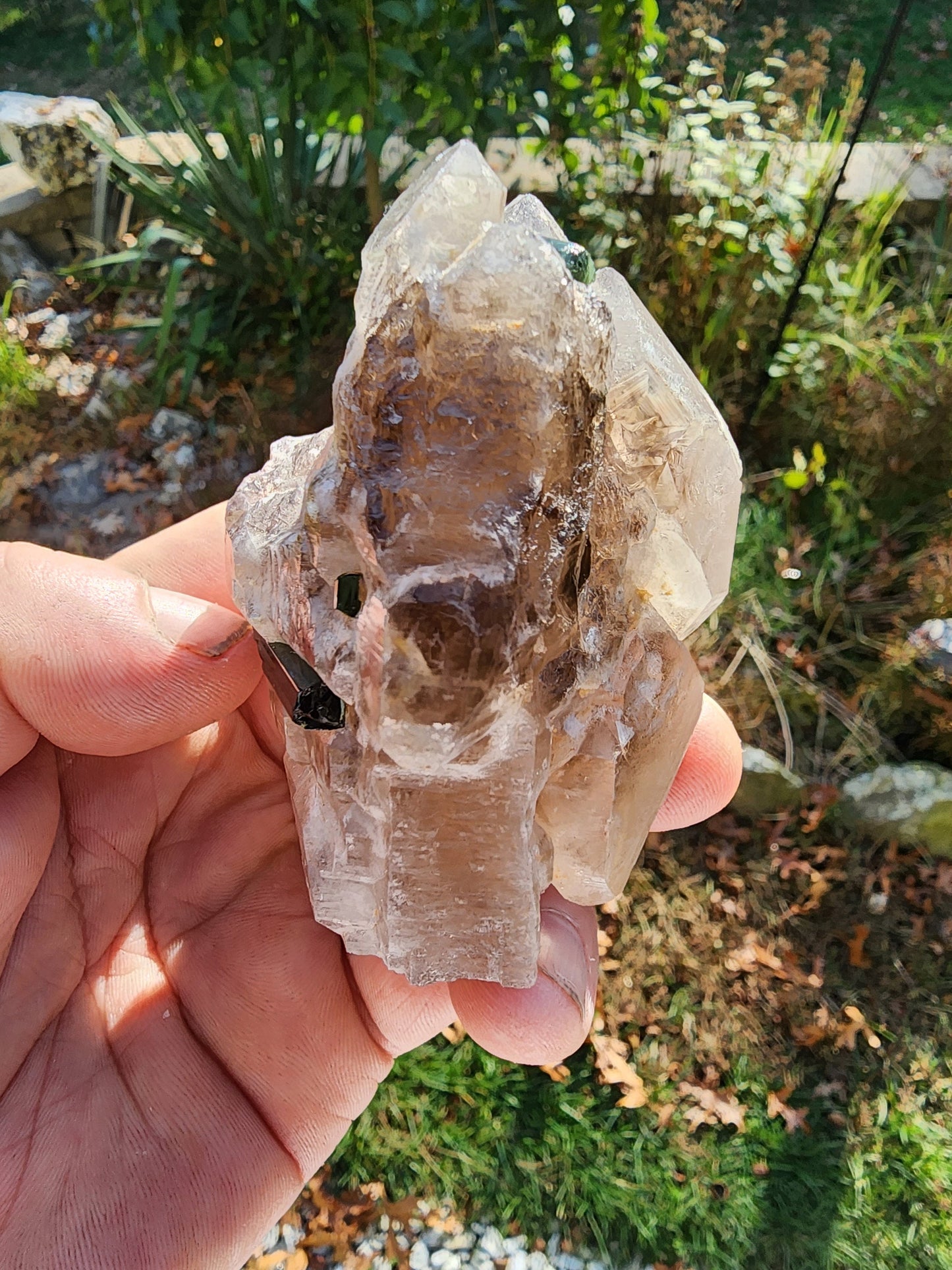 Gemmy Tourmaline in Terminated Smoky Quartz from Minas Gerais, Brazil