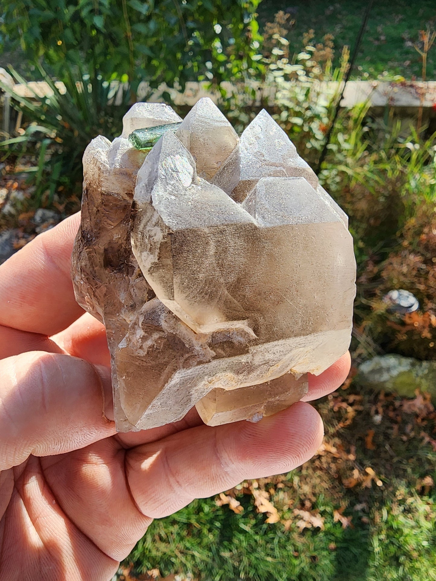 Gemmy Tourmaline in Terminated Smoky Quartz from Minas Gerais, Brazil