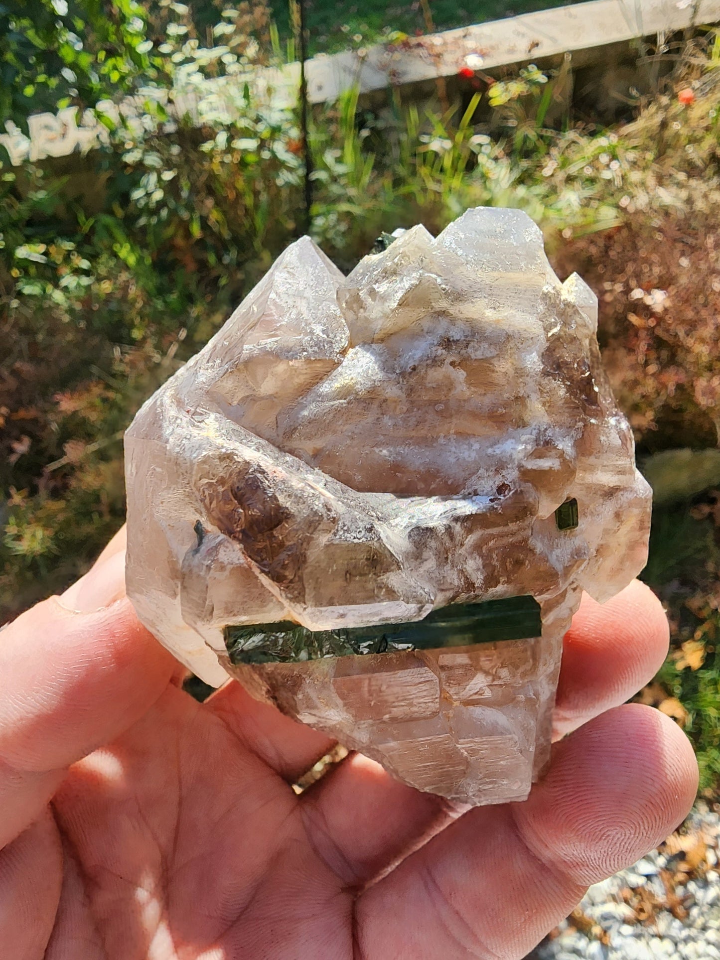 Gemmy Tourmaline in Terminated Smoky Quartz from Minas Gerais, Brazil
