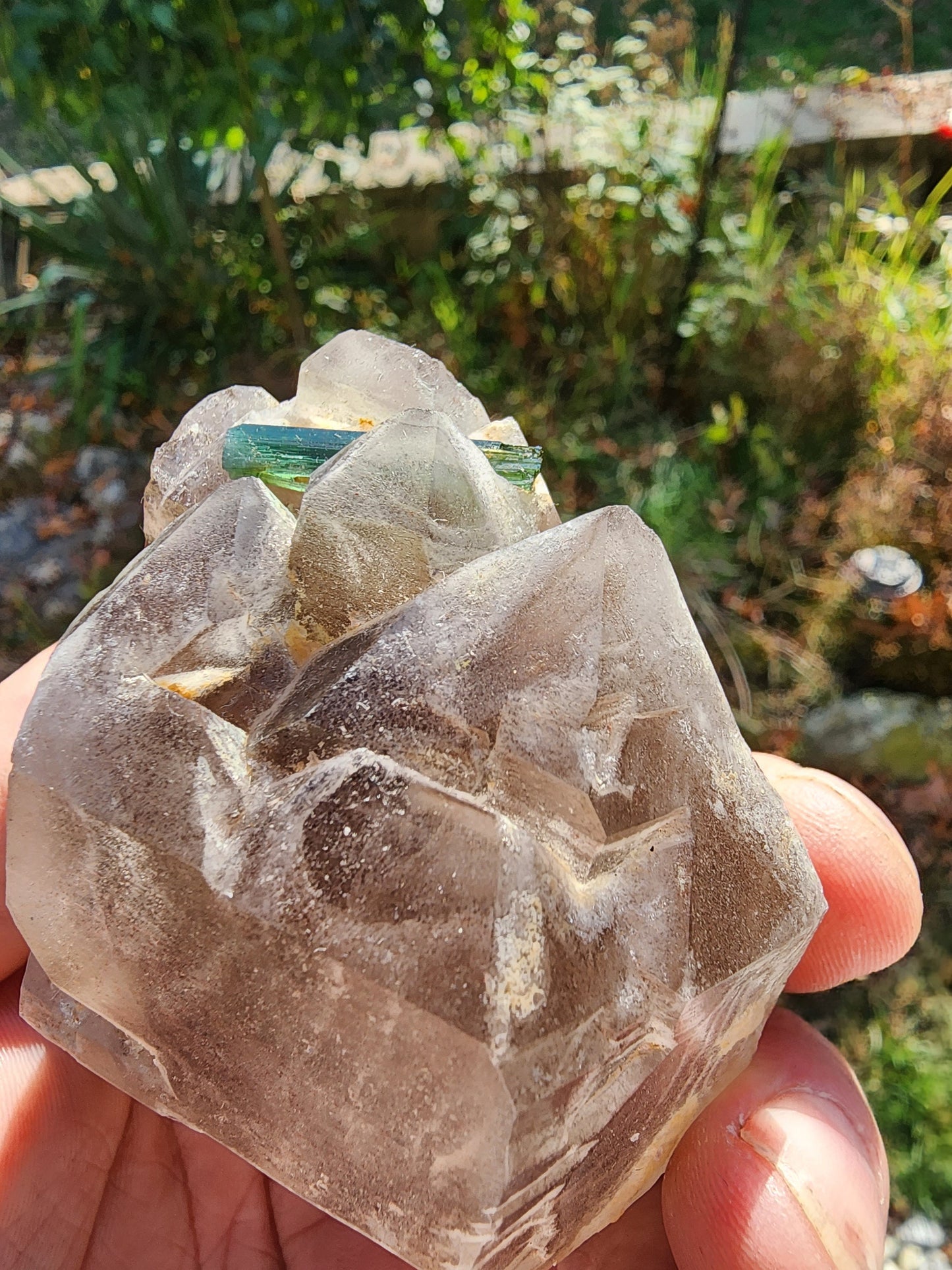 Gemmy Tourmaline in Terminated Smoky Quartz from Minas Gerais, Brazil