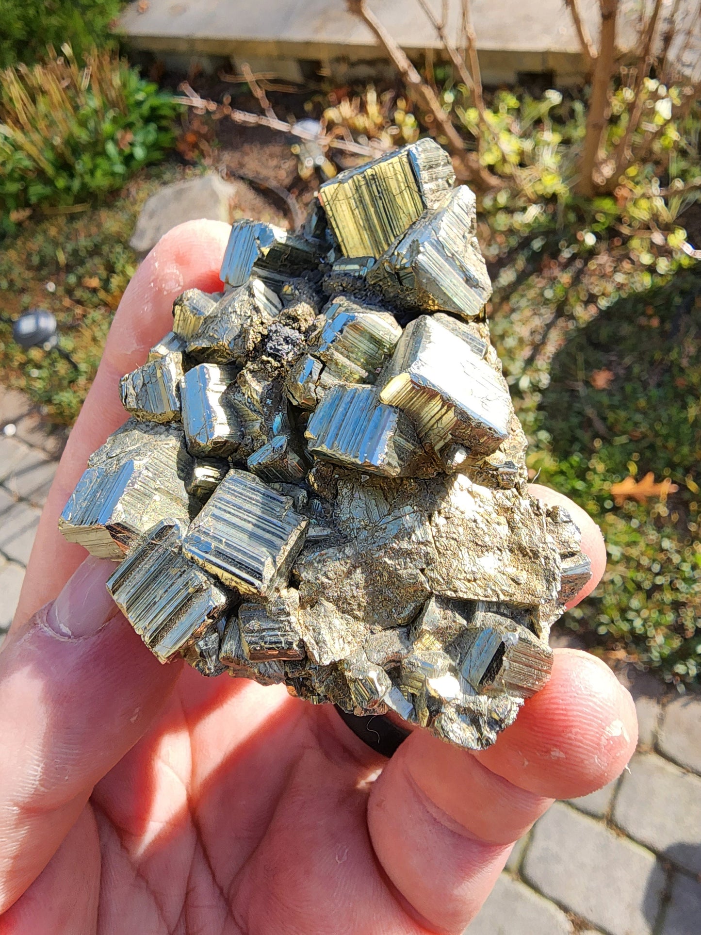 Pyrite Cluster from Concepcion del Oro, Mexico