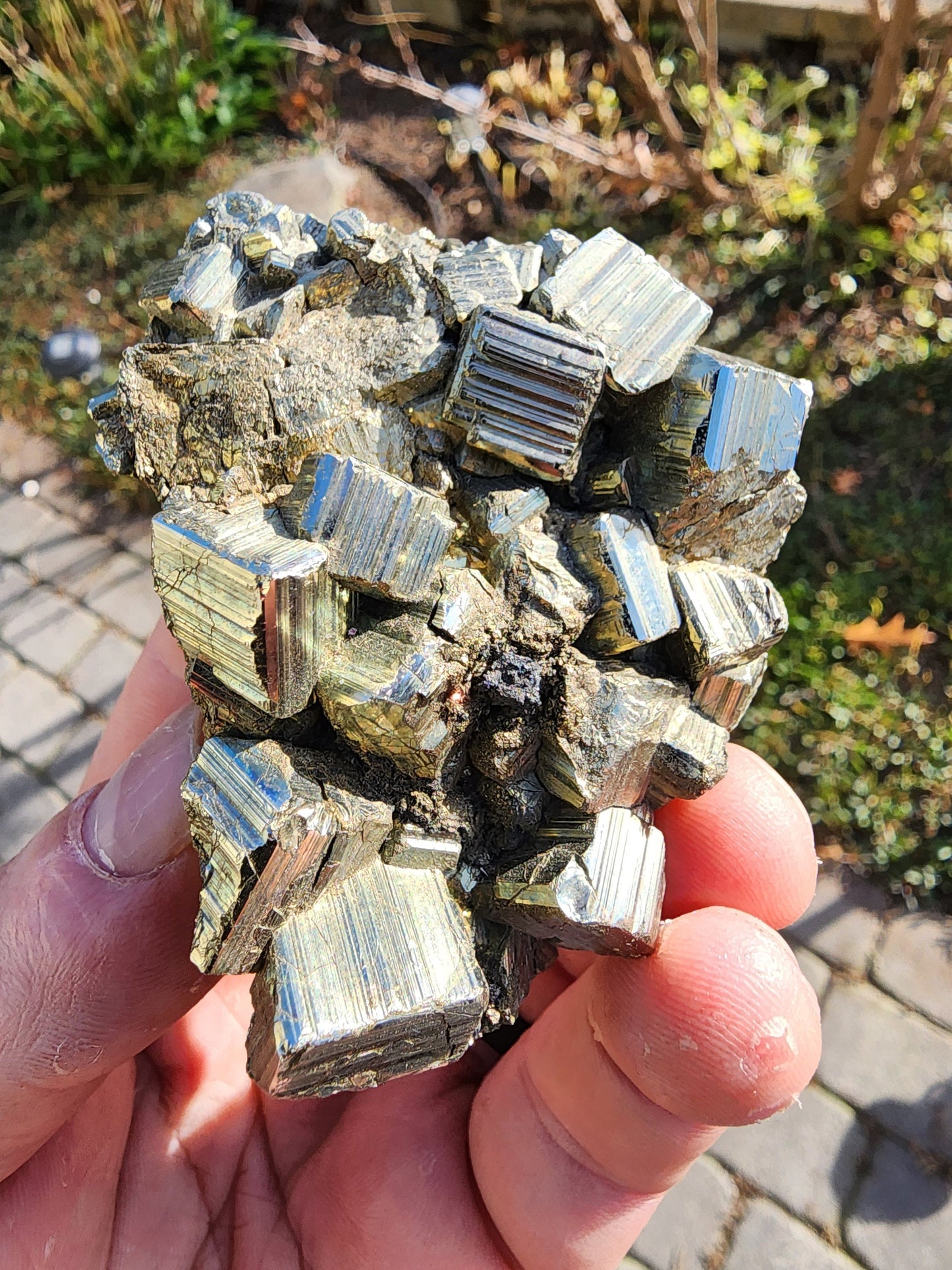 Pyrite Cluster from Concepcion del Oro, Mexico