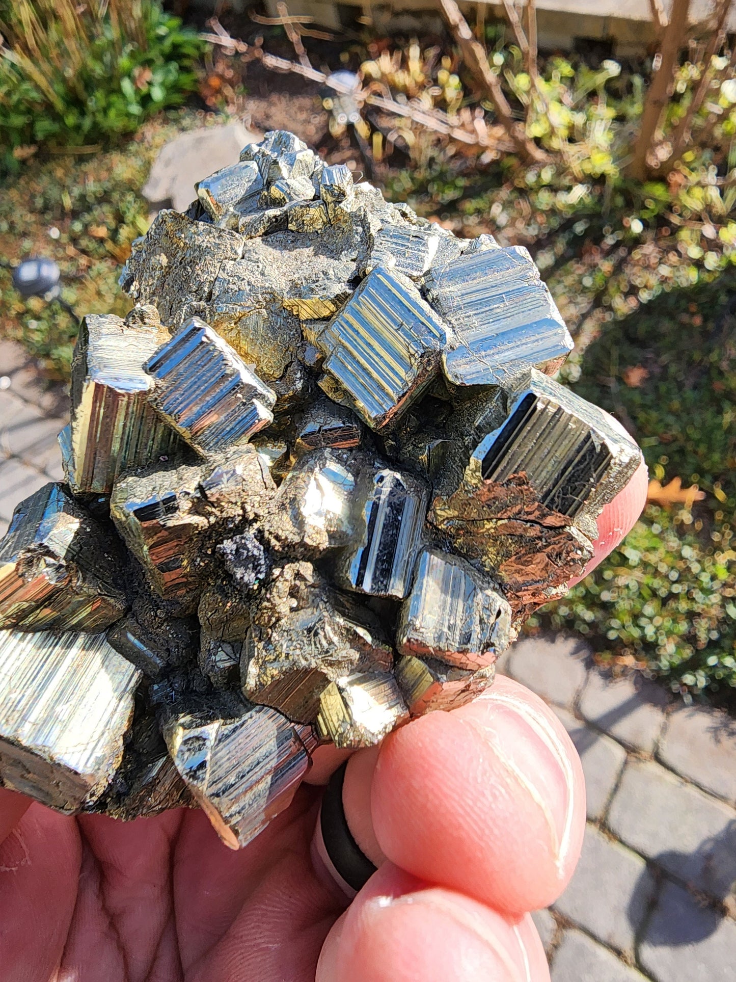 Pyrite Cluster from Concepcion del Oro, Mexico