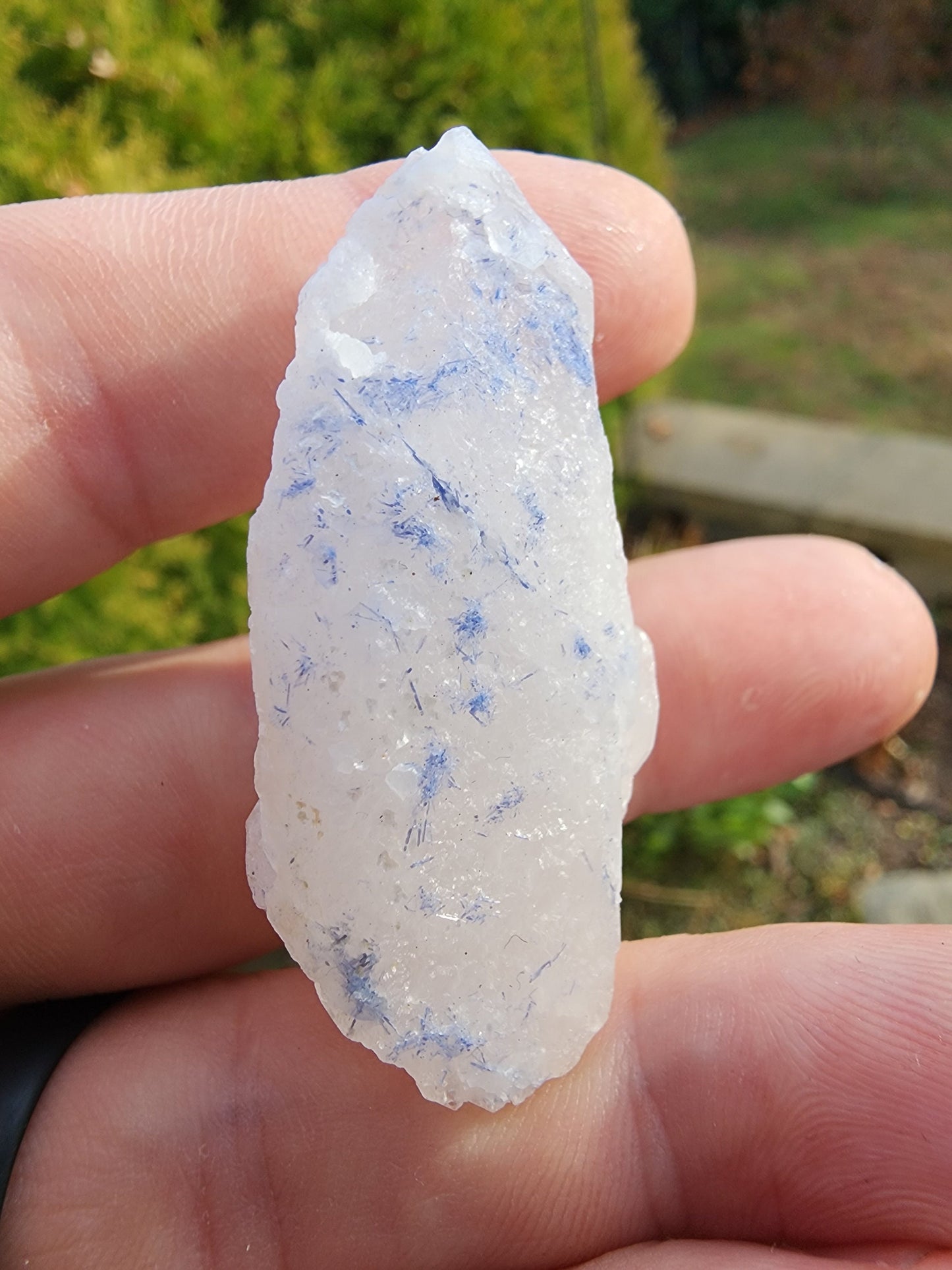 Quartz with Dumortierite Inclusions from Bahia, Brazil