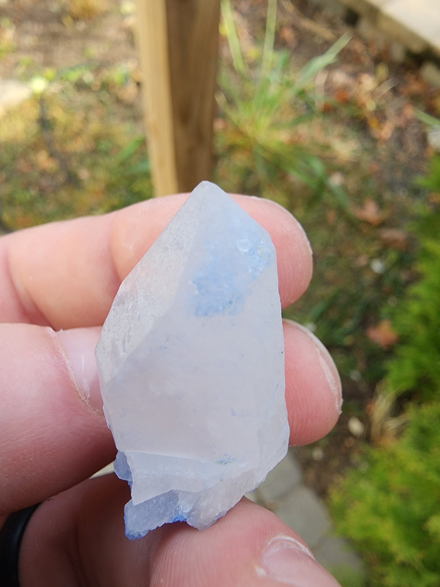 Quartz with Dumortierite Inclusions from Bahia, Brazil