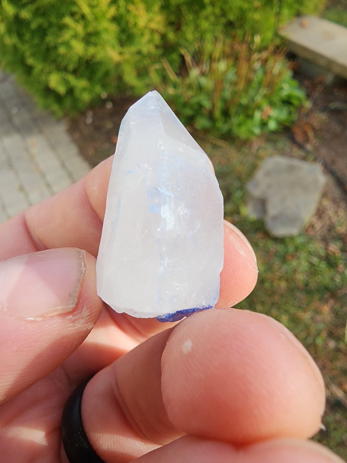 Quartz with Dumortierite Inclusions from Bahia, Brazil