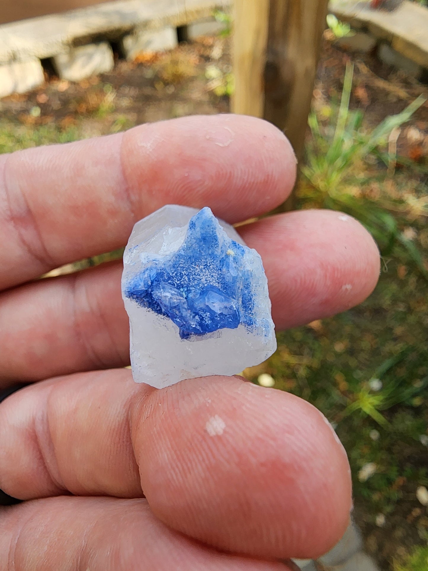 Quartz with Dumortierite Inclusions from Bahia, Brazil