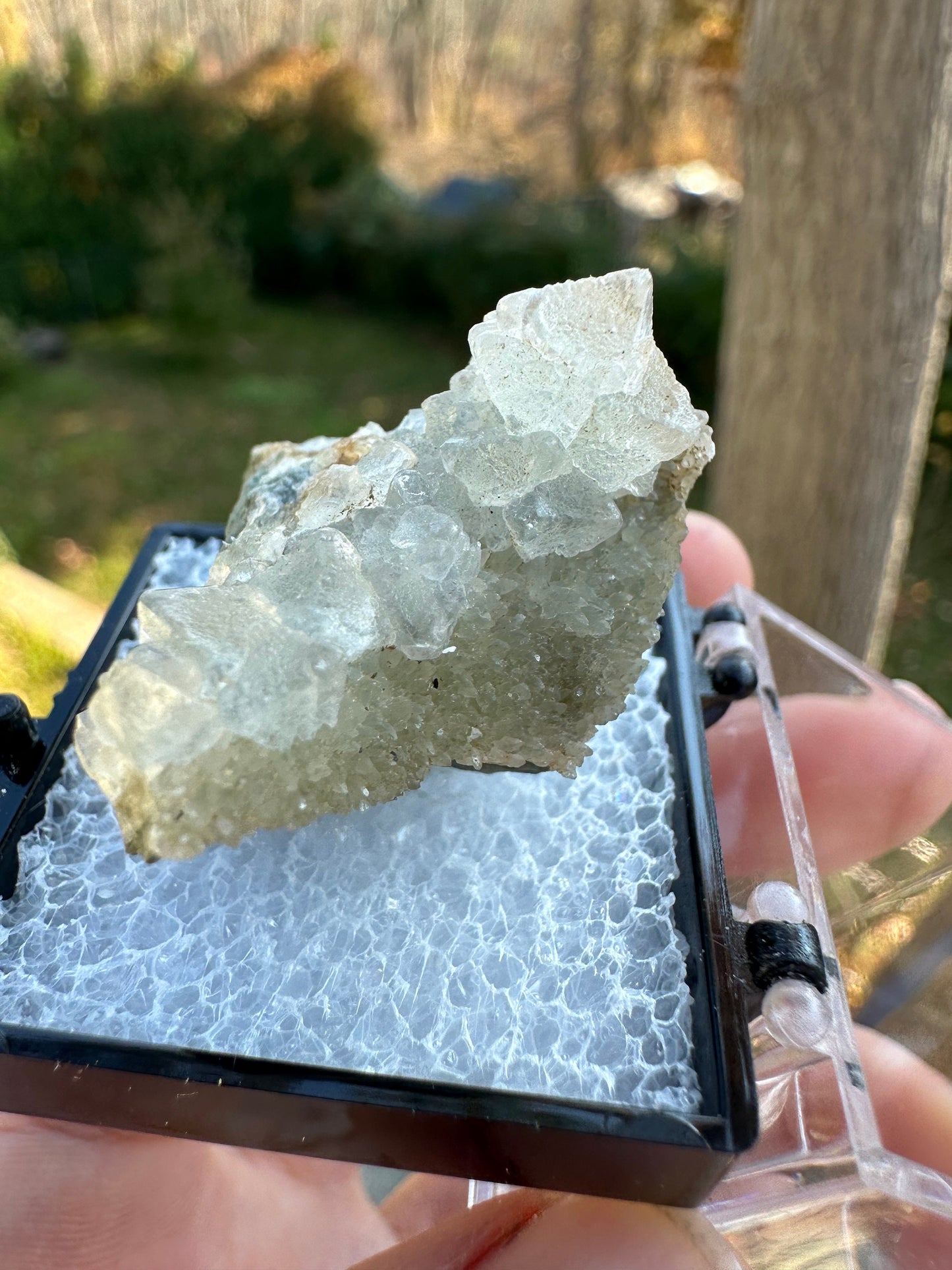 Fluorite Cluster from Alaska USA