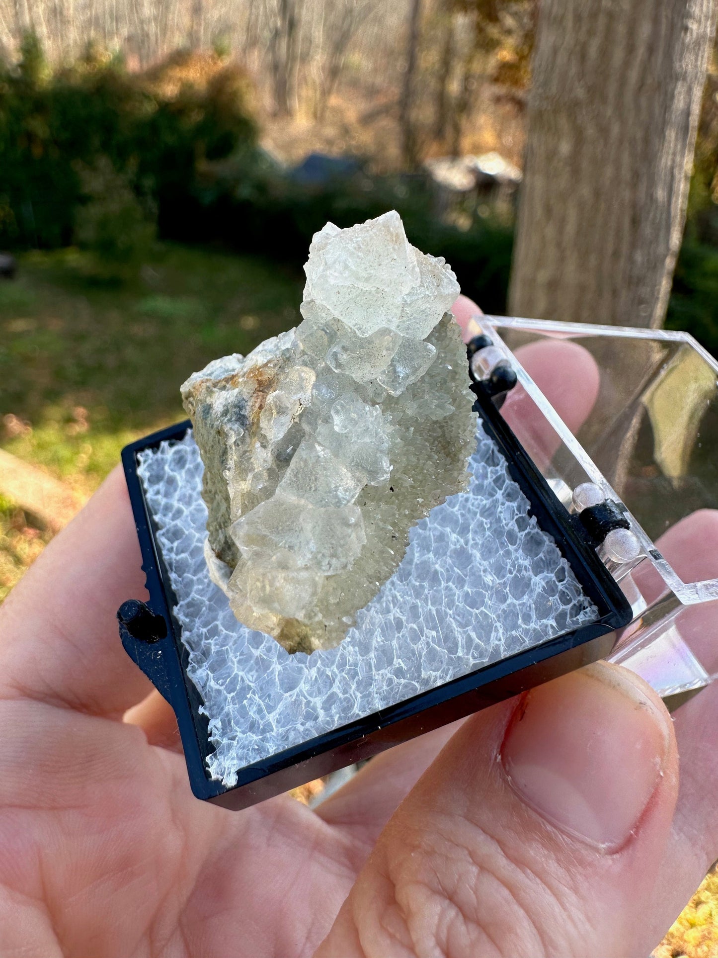 Fluorite Cluster from Alaska USA